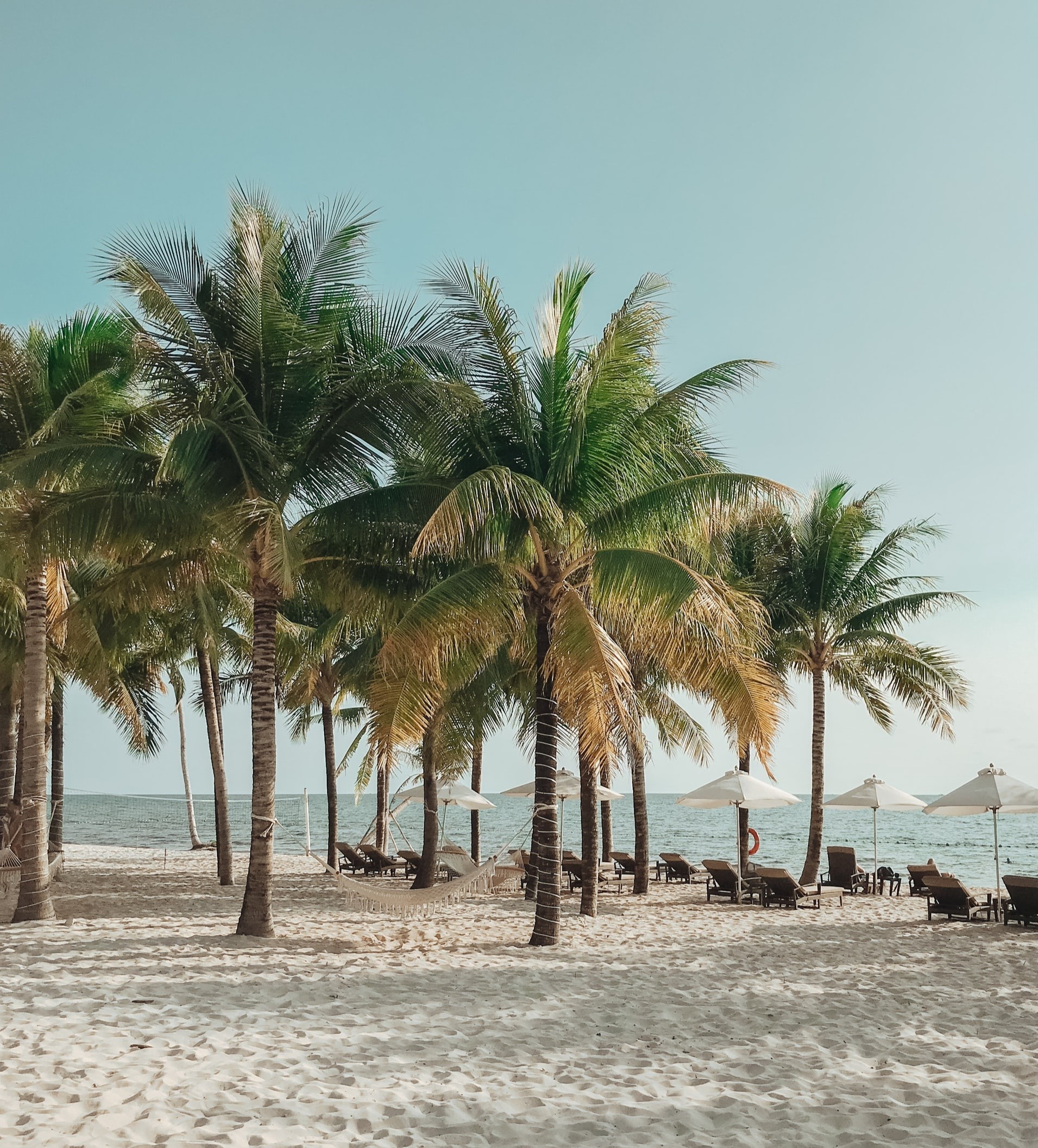 mở cửa Phú Quốc ảnh 4 mo cua Phu Quoc anh 4