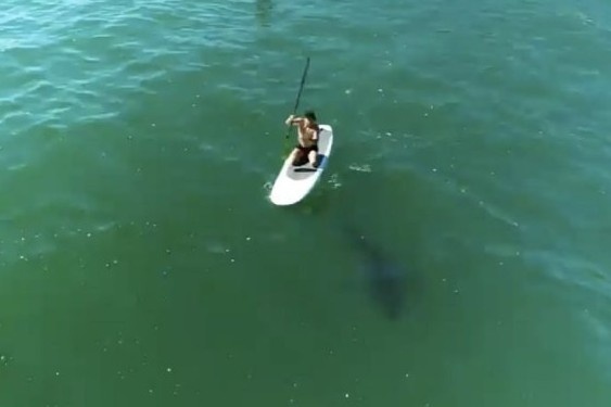 Orlando Bloom doi mat ca map trang lon khi dang cheo van hinh anh