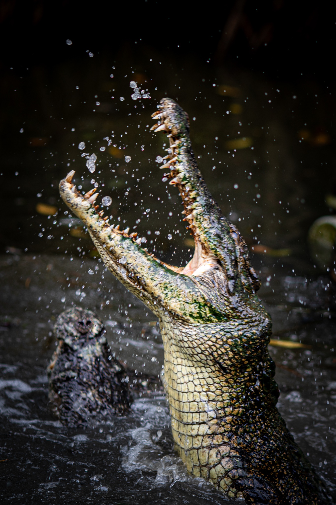 Khi tran ra duong o Can Gio anh 20