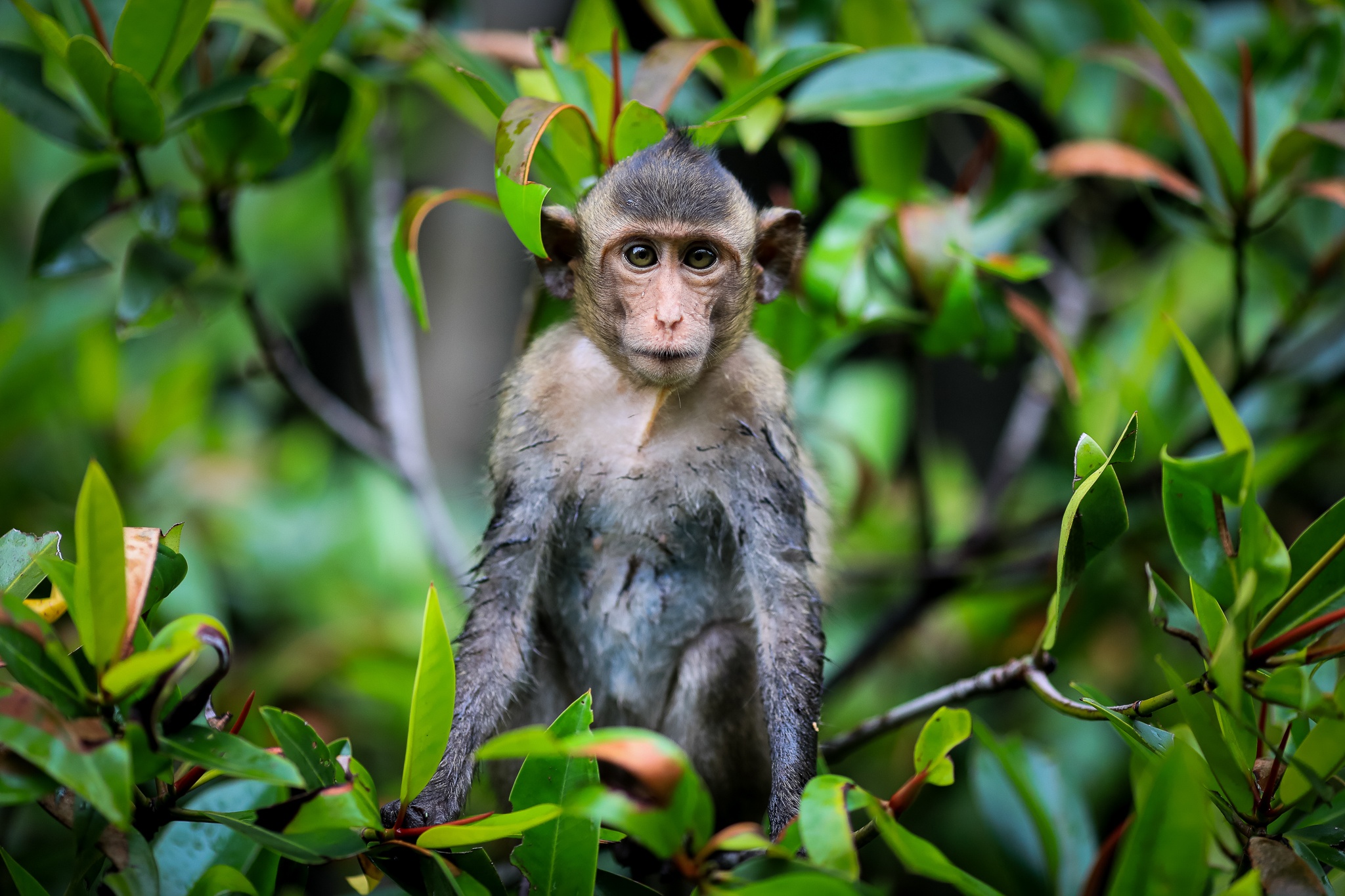 Khi tran ra duong o Can Gio anh 5