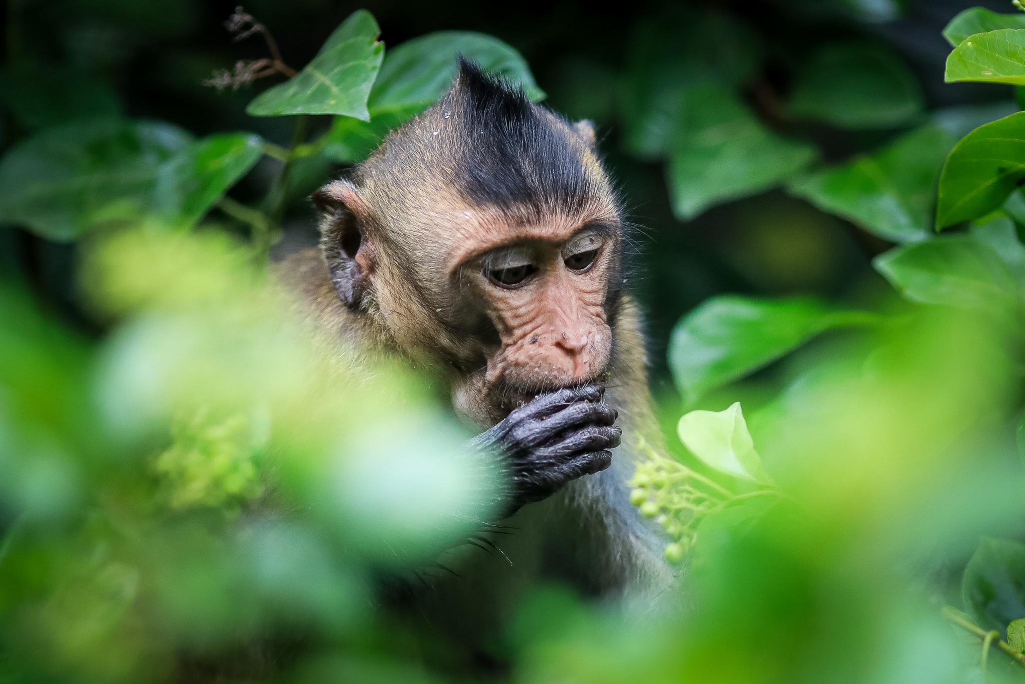 Khi tran ra duong o Can Gio anh 7