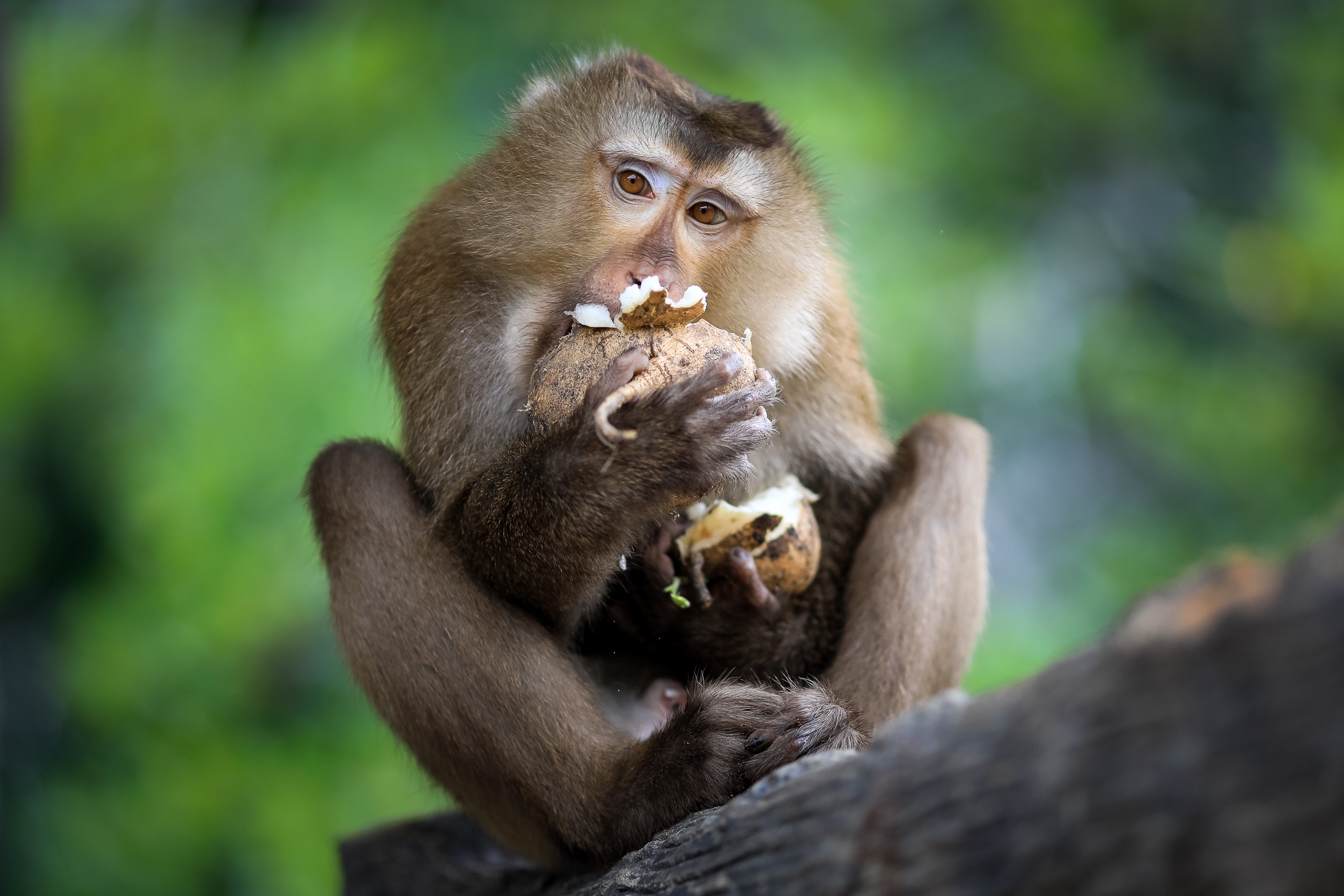 Khi tran ra duong o Can Gio anh 8