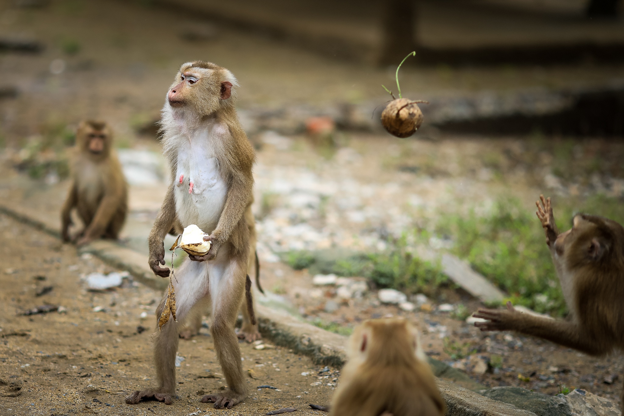 Khi tran ra duong o Can Gio anh 6