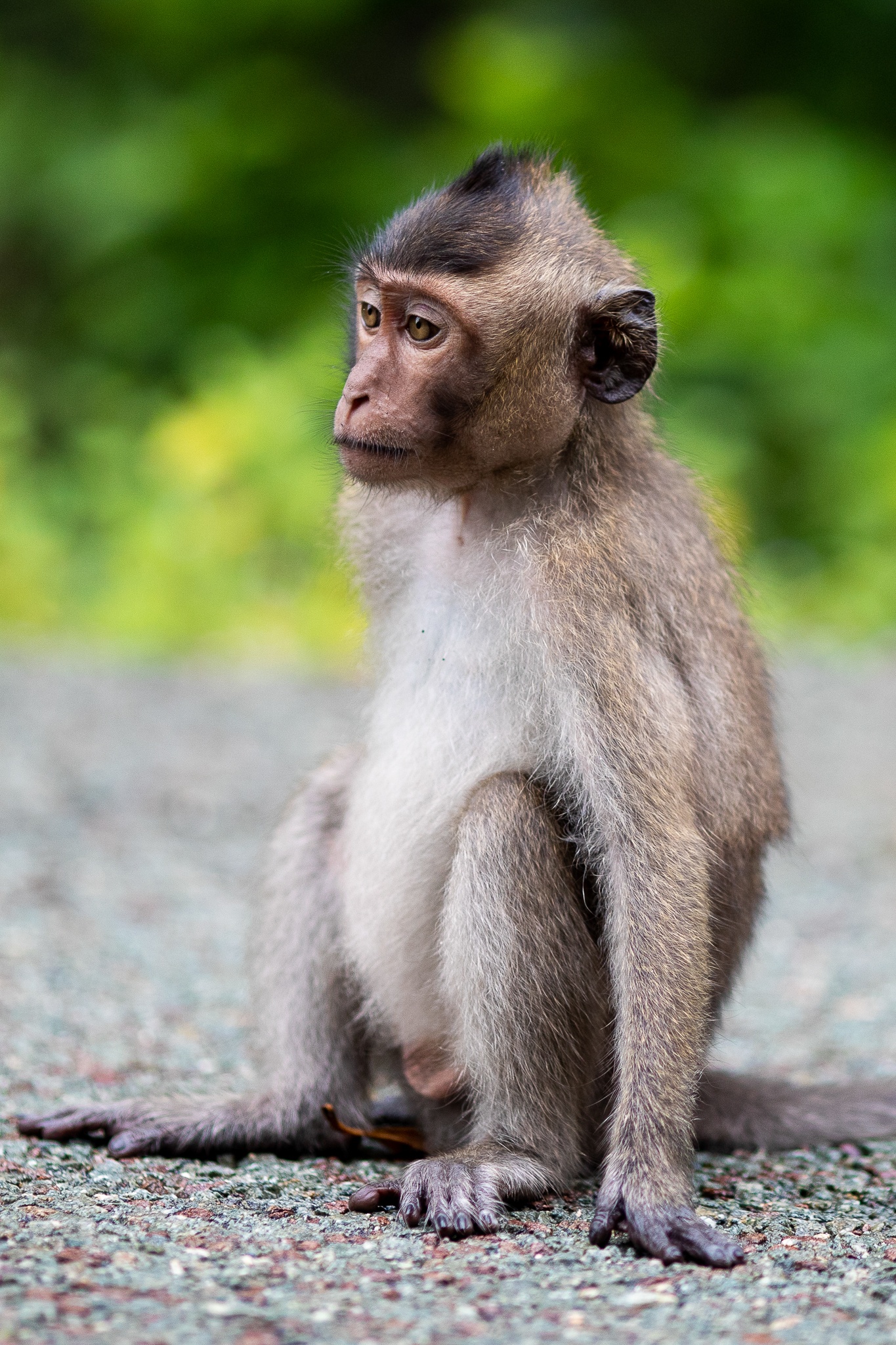 Khi tran ra duong o Can Gio anh 11