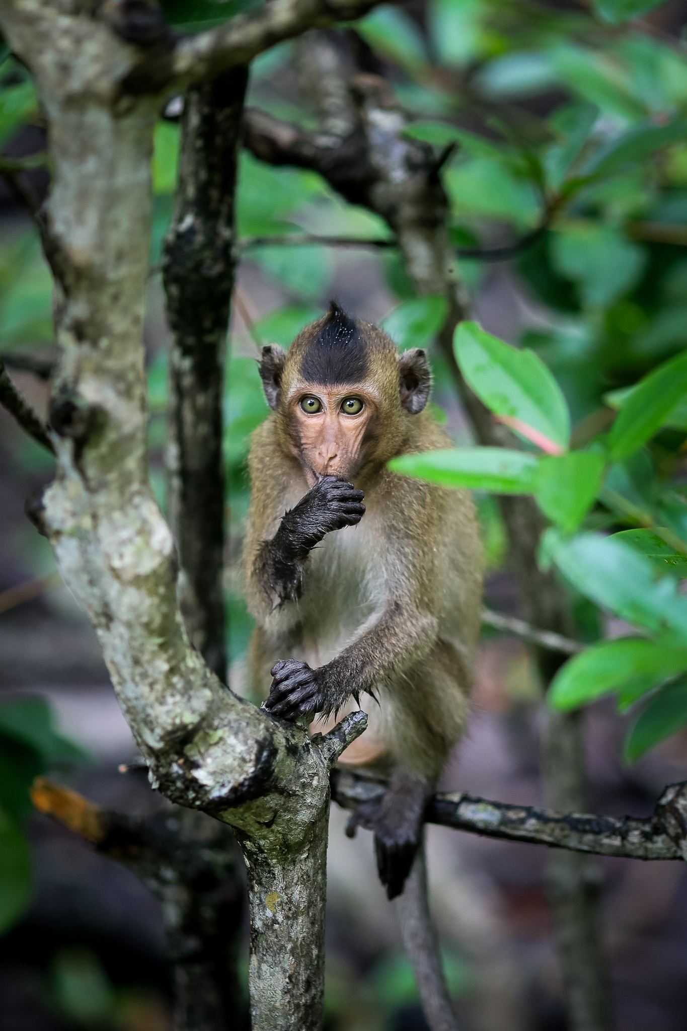 Khi tran ra duong o Can Gio anh 2