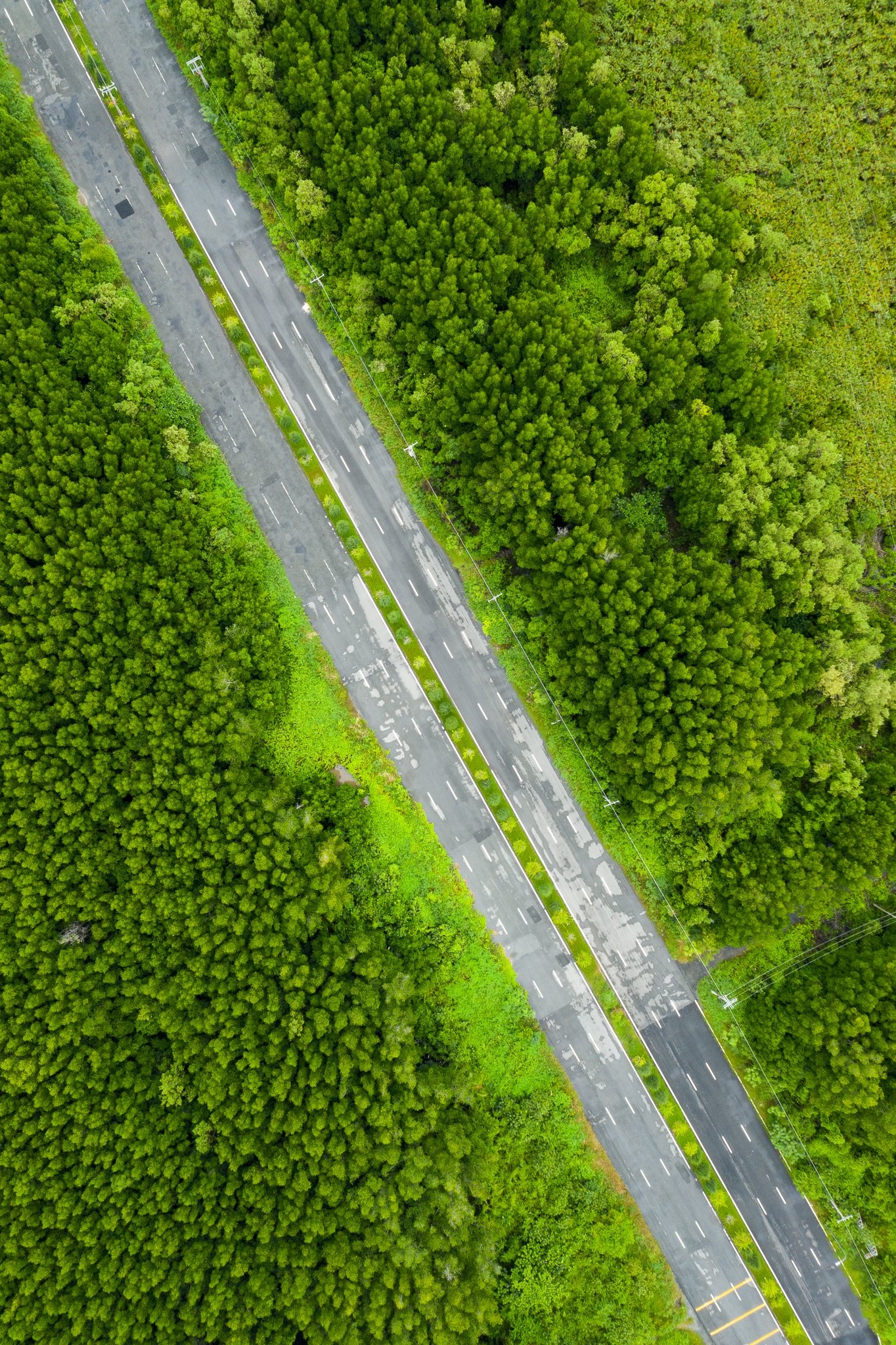 Khi tran ra duong o Can Gio anh 17