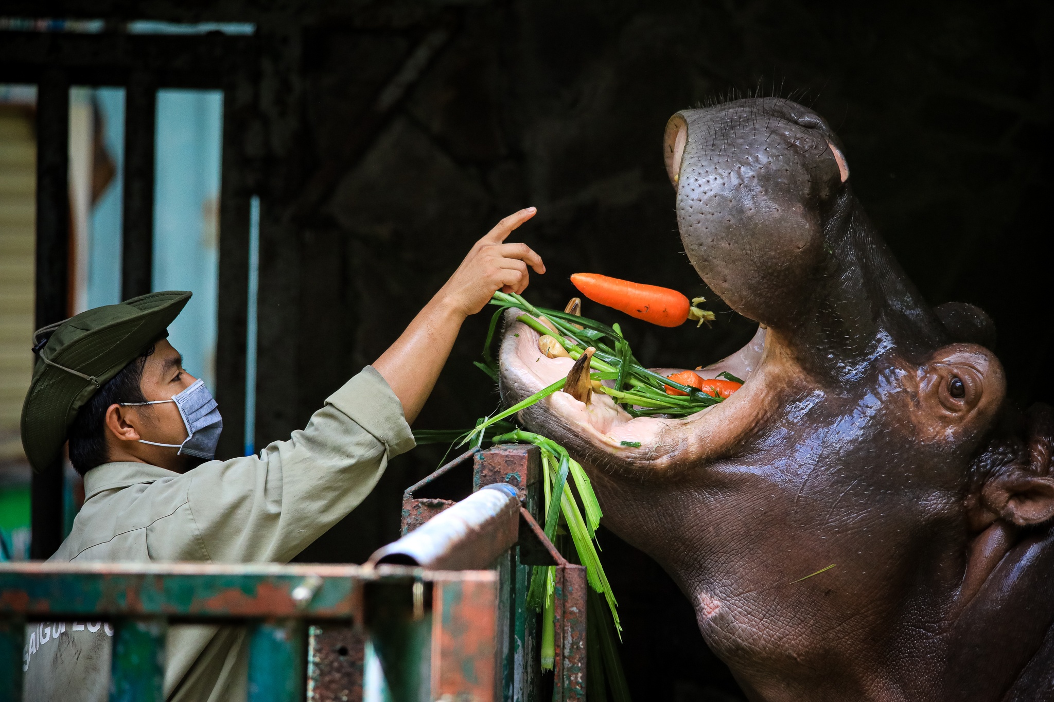 30 nguoi o lai cham soc thu tai Thao Cam Vien hinh anh