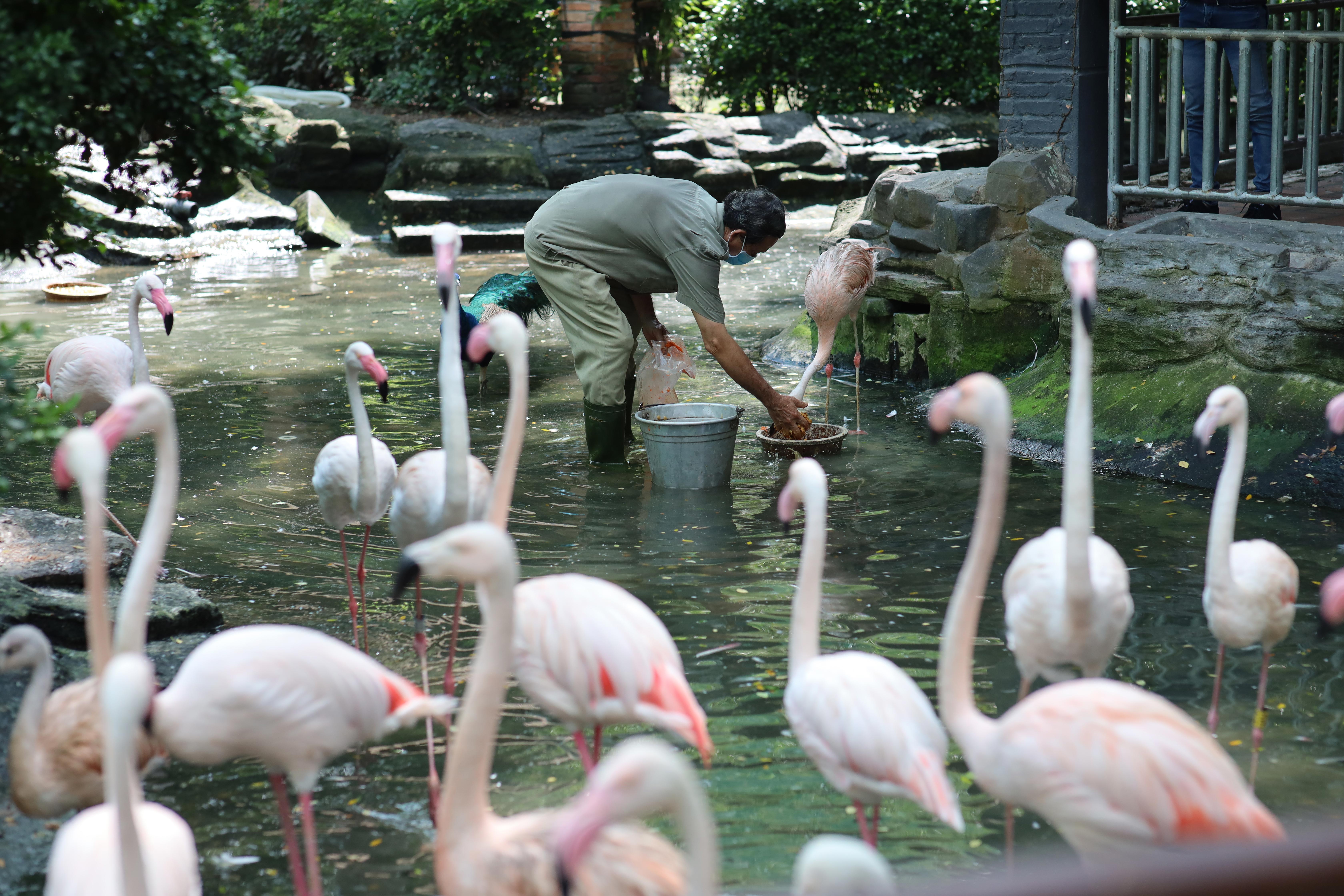 thao cam vien TP.HCM mua dich anh 23