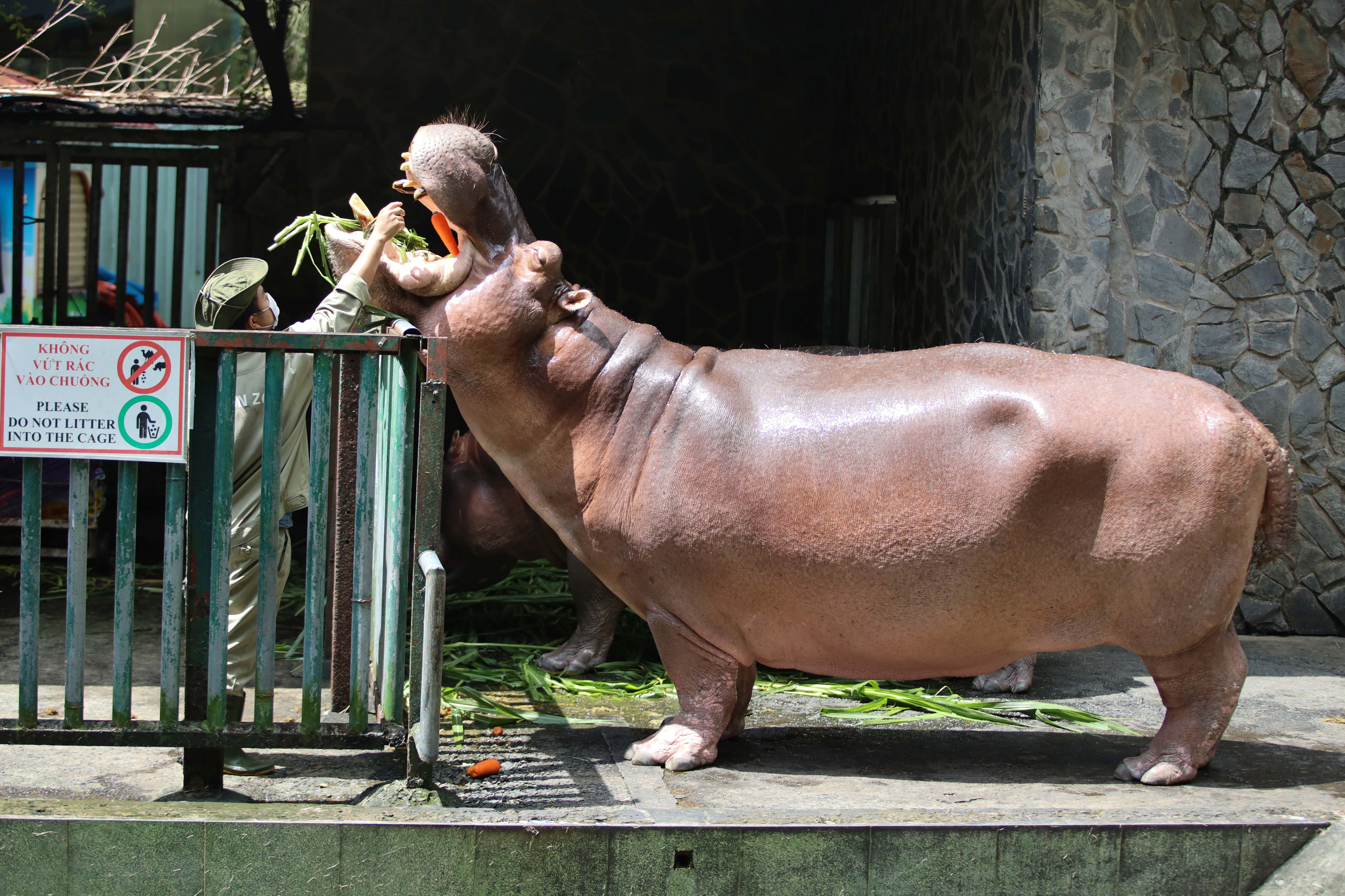 thao cam vien TP.HCM mua dich anh 22