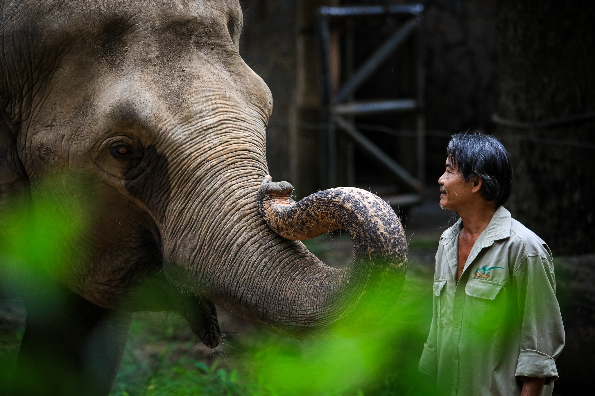 thao cam vien TP.HCM mua dich anh 26