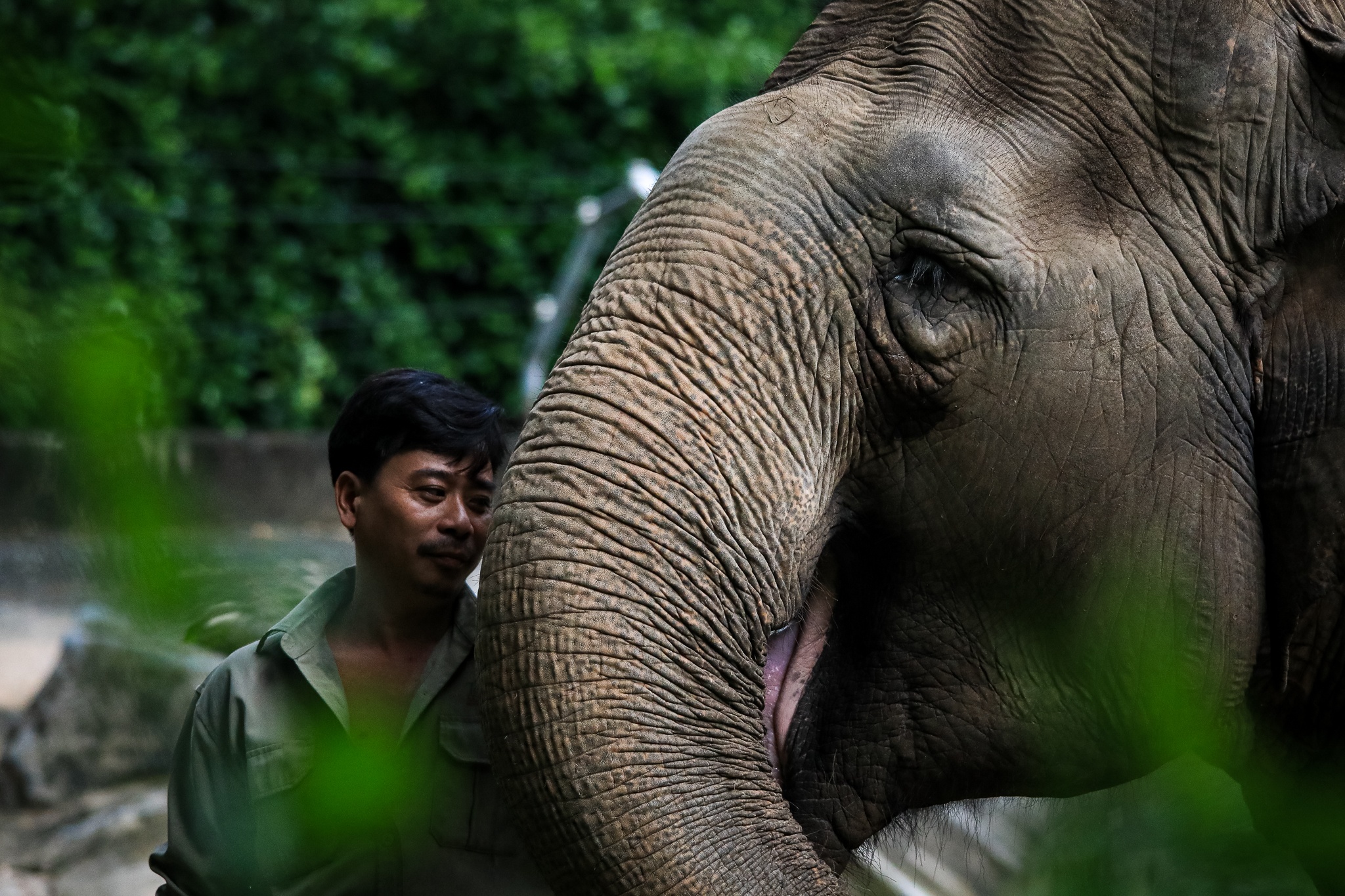 thao cam vien TP.HCM mua dich anh 25