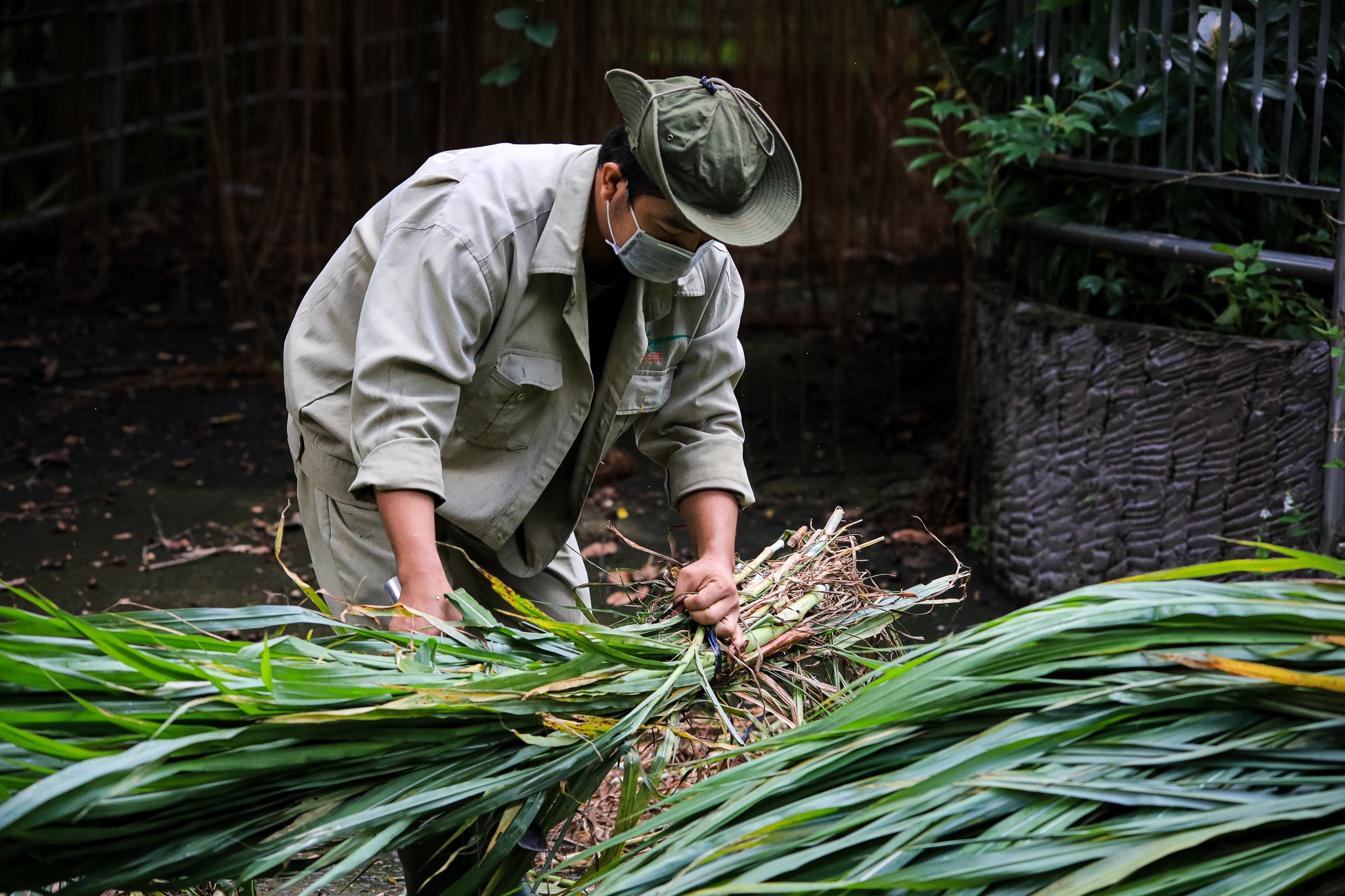thao cam vien TP.HCM mua dich anh 30