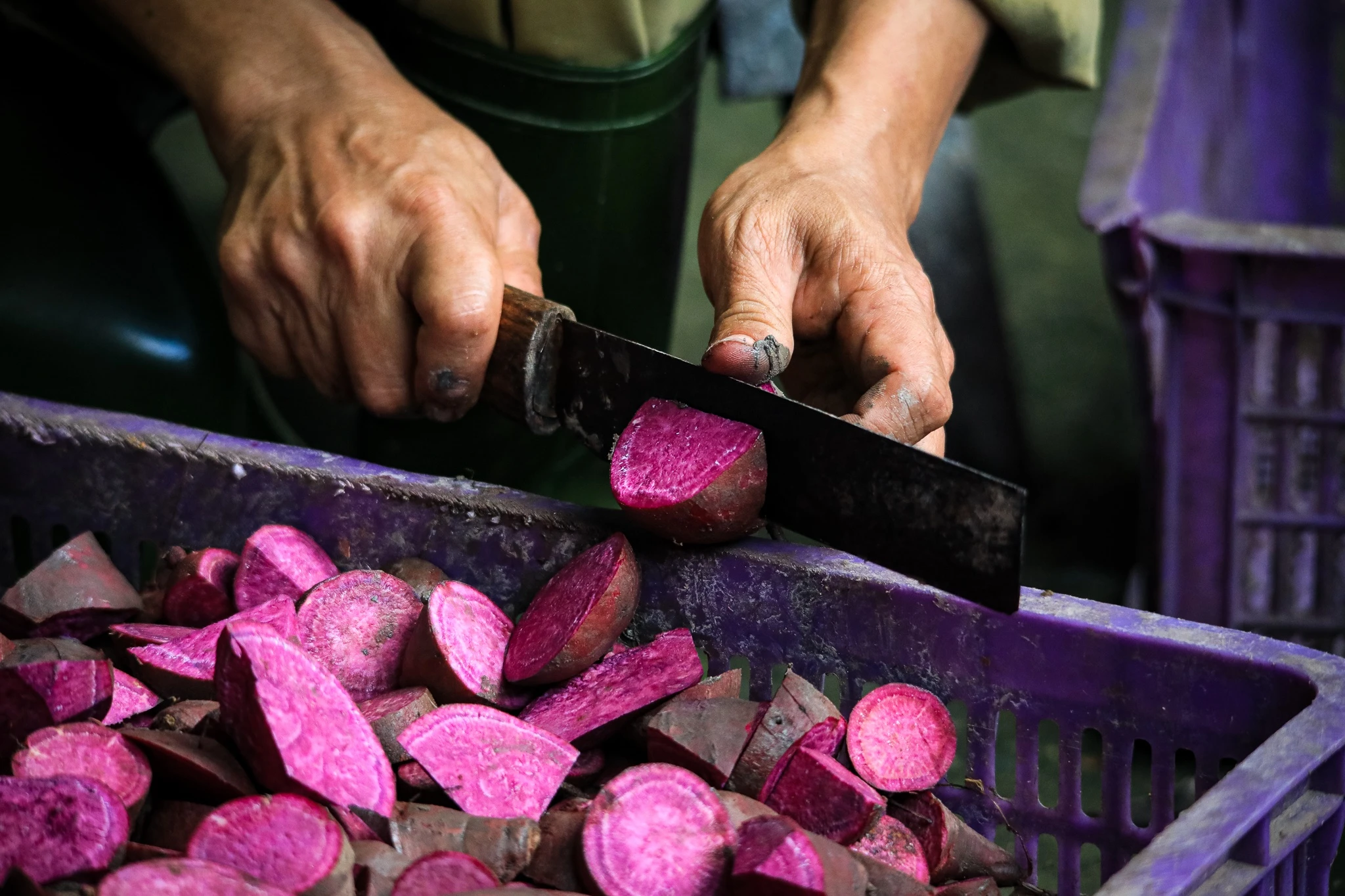 thao cam vien TP.HCM mua dich anh 19