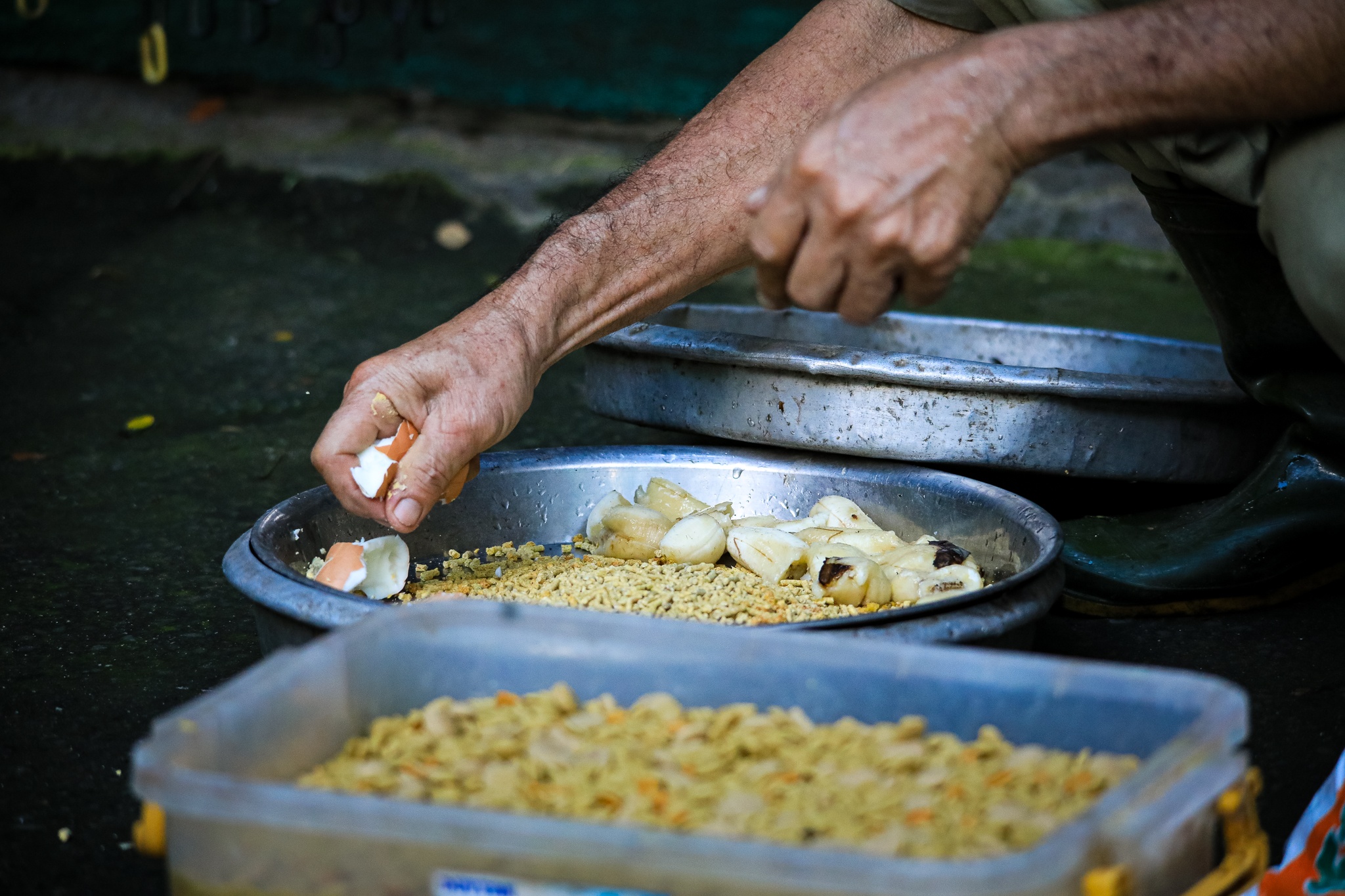 thao cam vien TP.HCM mua dich anh 20