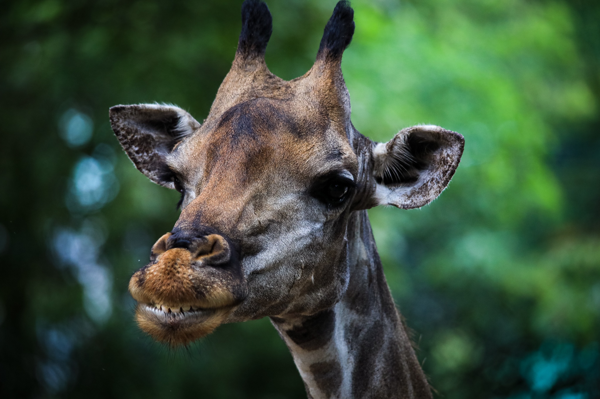 thao cam vien TP.HCM mua dich anh 11