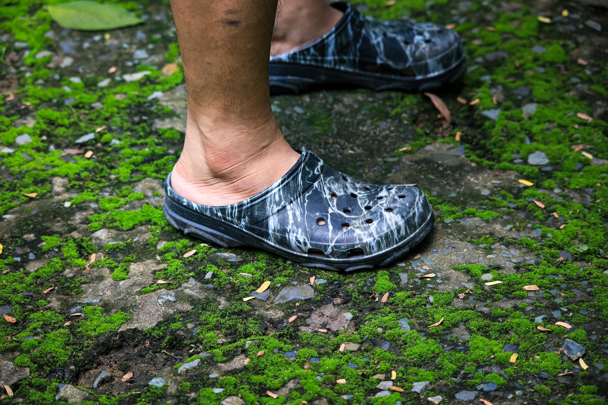 thao cam vien TP.HCM mua dich anh 28