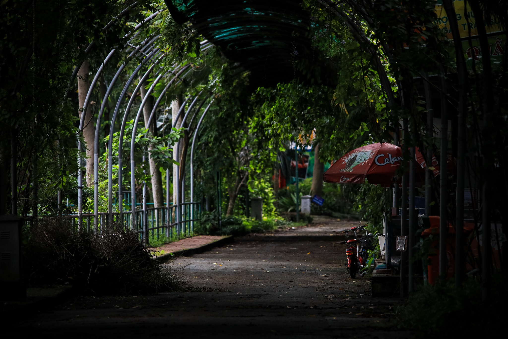 thao cam vien TP.HCM mua dich anh 3