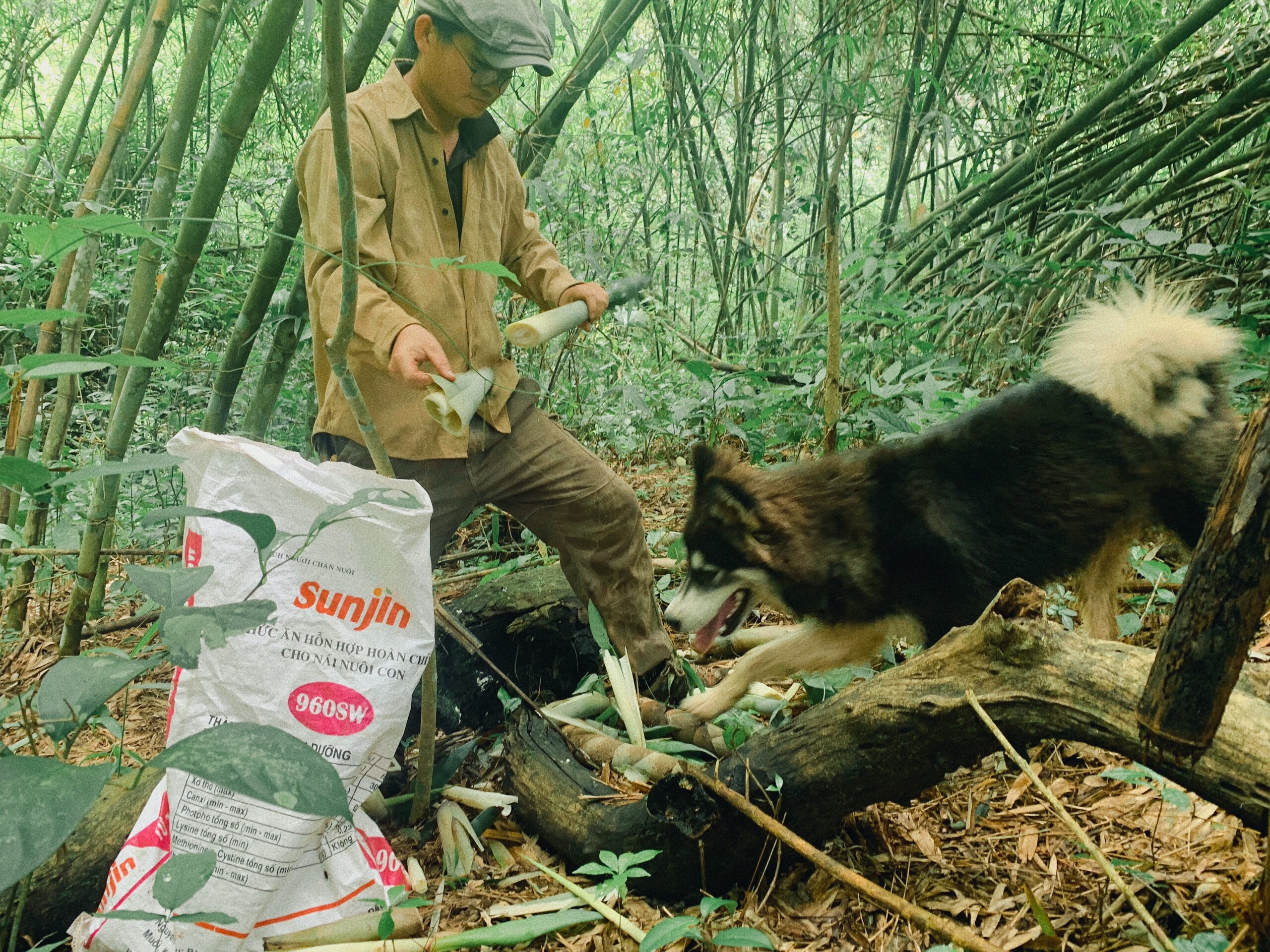 chàng trai bỏ phố về quê ảnh 3 chang trai bo pho ve que anh 3