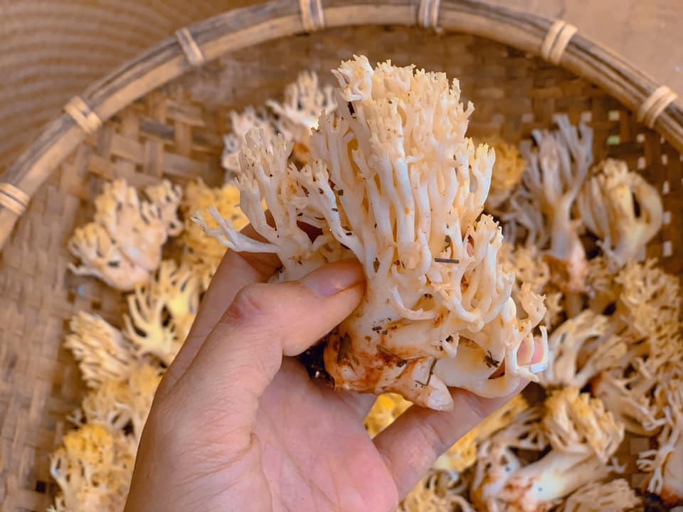 chàng trai bỏ phố về quê ảnh 4 chang trai bo pho ve que anh 4