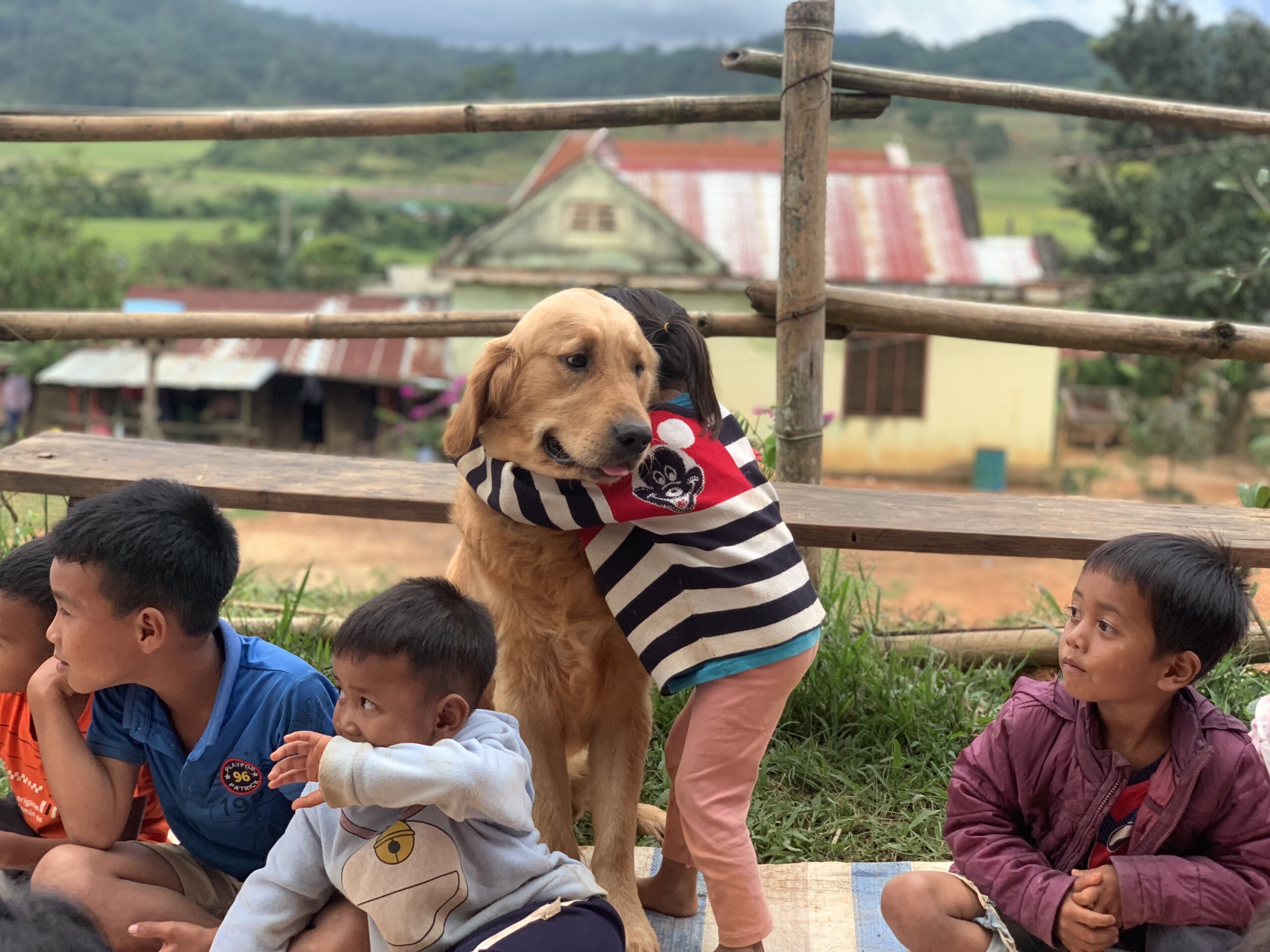 chàng trai bỏ phố về quê ảnh 9 chang trai bo pho ve que anh 9