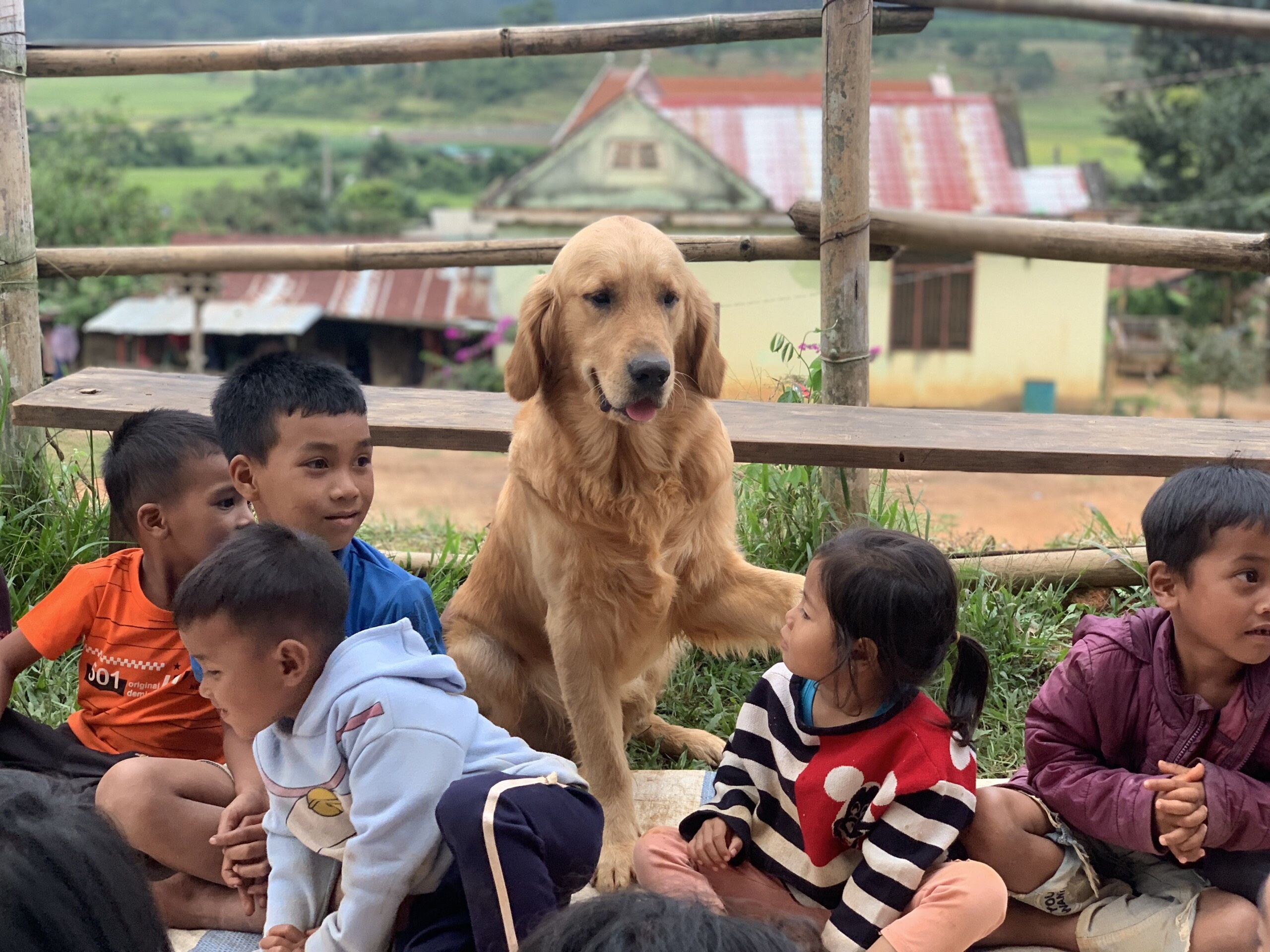 chàng trai bỏ phố về quê ảnh 8 chang trai bo pho ve que anh 8