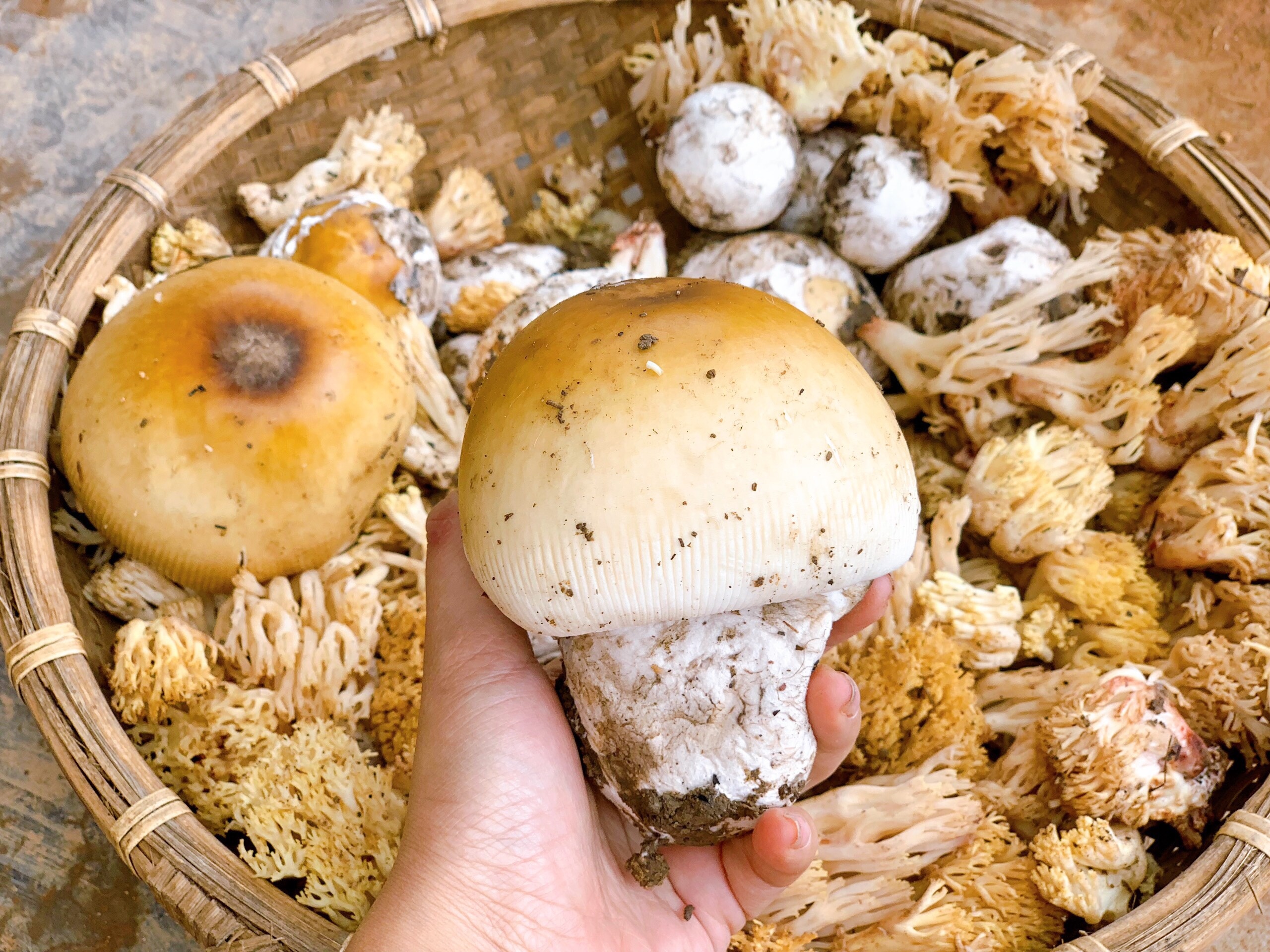 chàng trai bỏ phố về quê ảnh 5 chang trai bo pho ve que anh 5