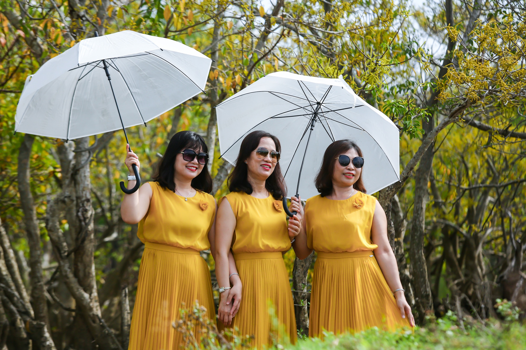 vẻ đẹp rừng Rú Chá ảnh 10 ve dep rung Ru Cha anh 10