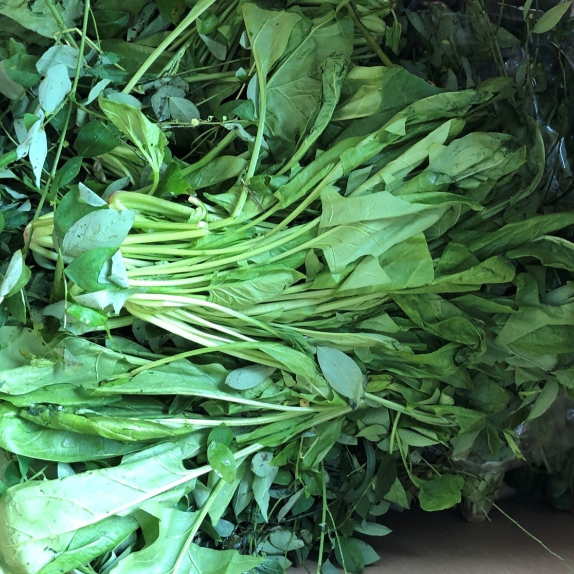 thao cam vien nhan ho tro tu sieu thi anh 2