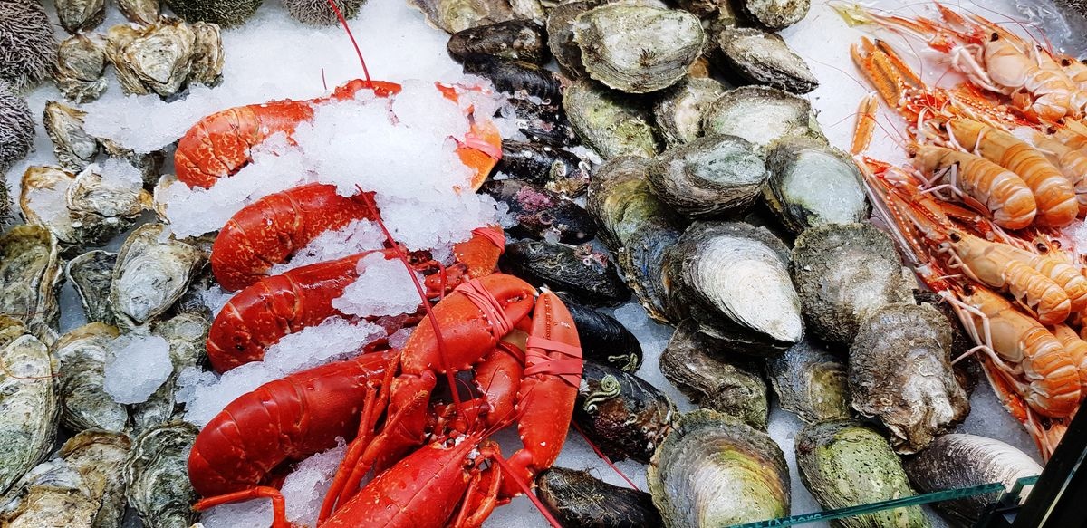 bao quan thuc pham trong tu lanh anh 8