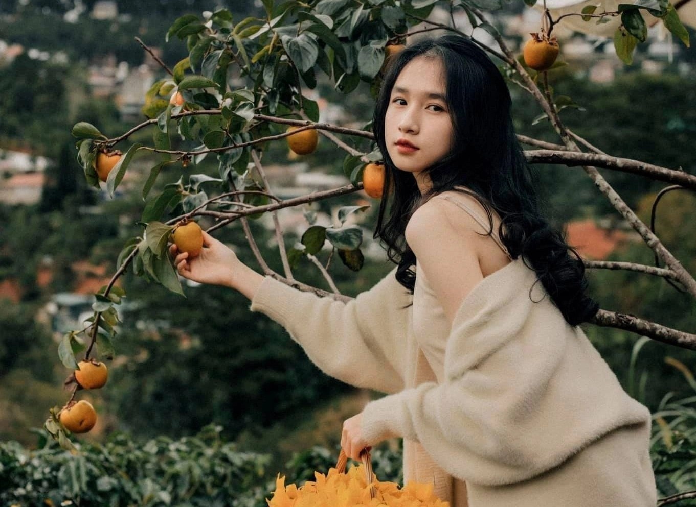 Du khach co the toi Da Lat bang phuong tien gi? hinh anh