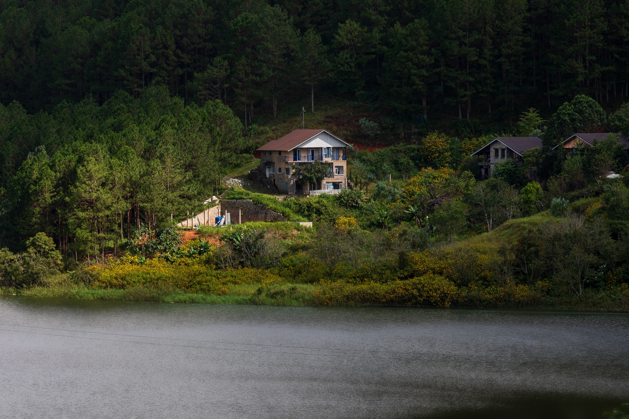 mua hoa da quy o Da Lat anh 10