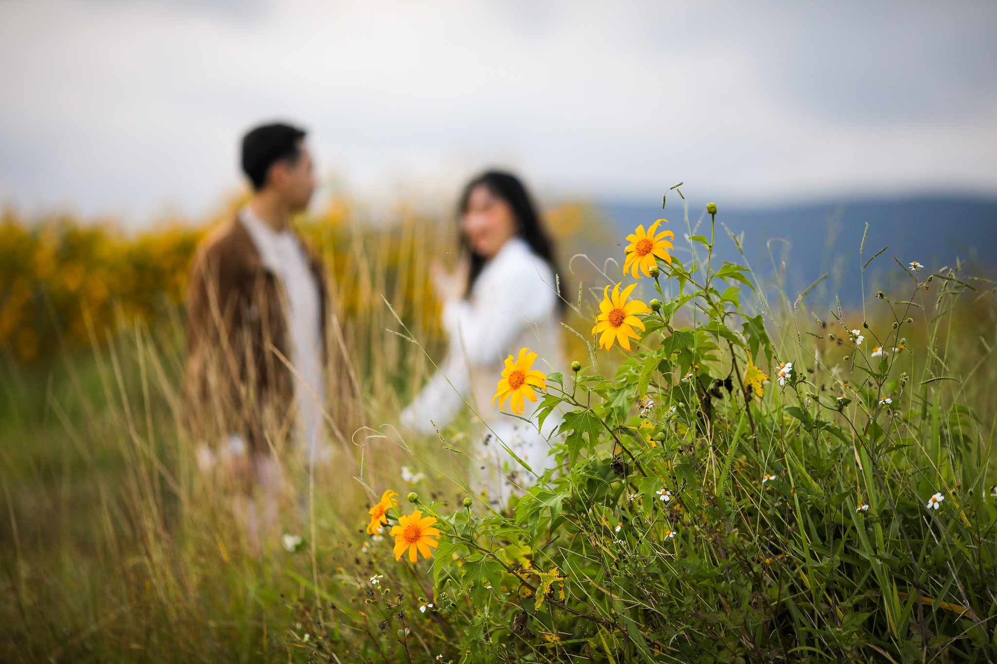 mua hoa da quy o Da Lat anh 2