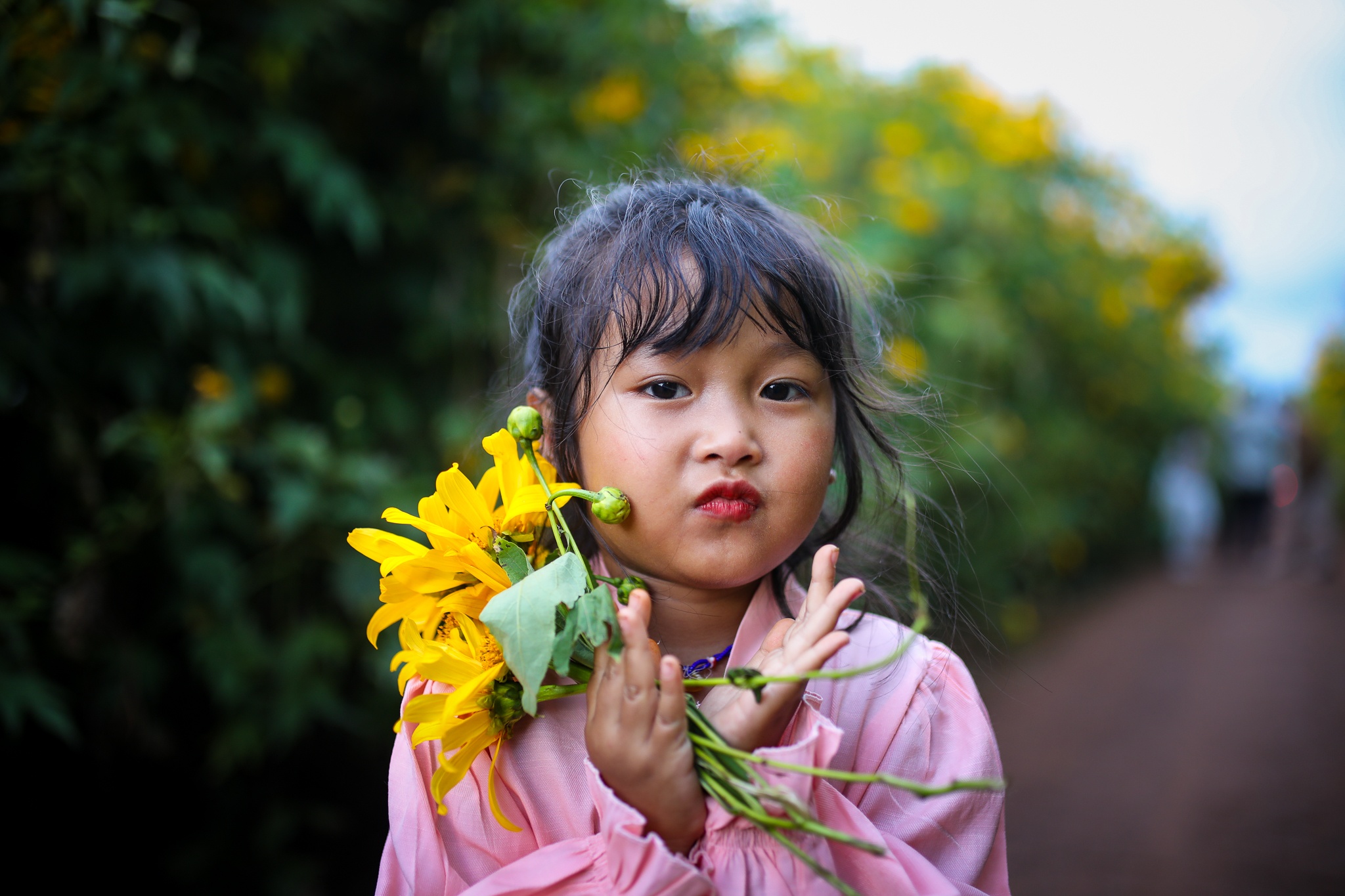 mua hoa da quy o Da Lat anh 15