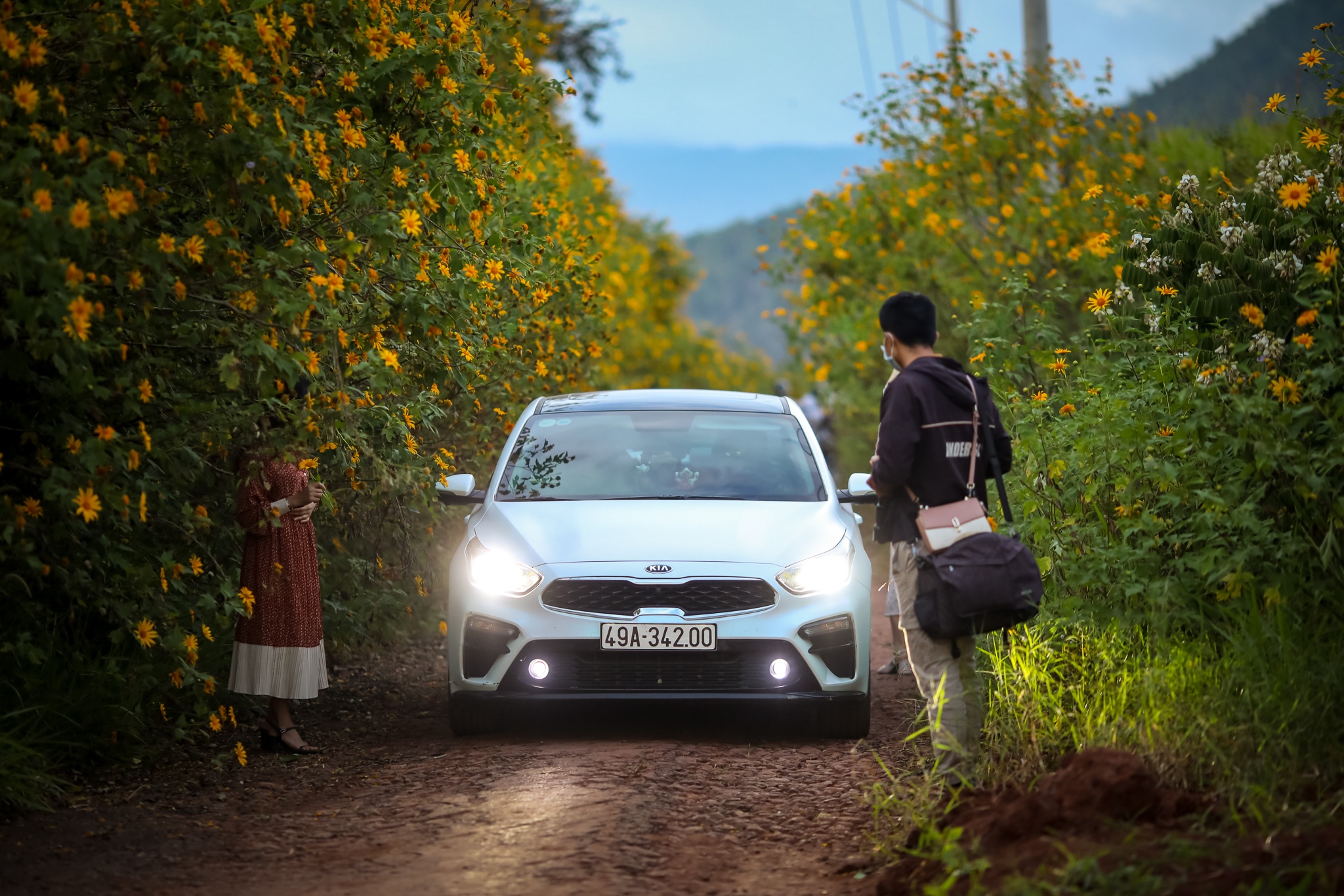 mua hoa da quy o Da Lat anh 11