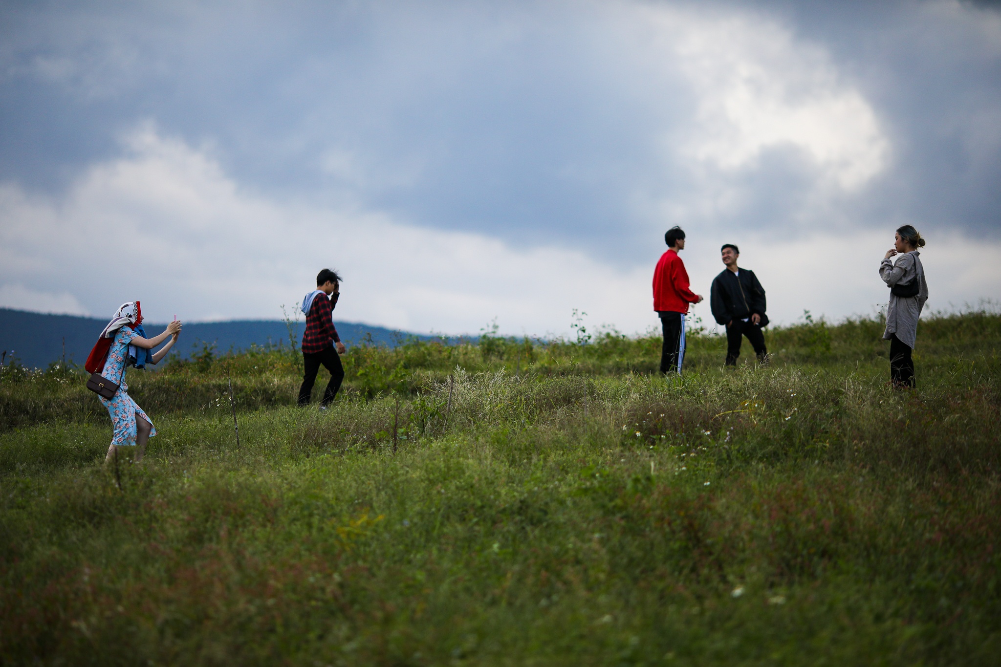 mua hoa da quy o Da Lat anh 17