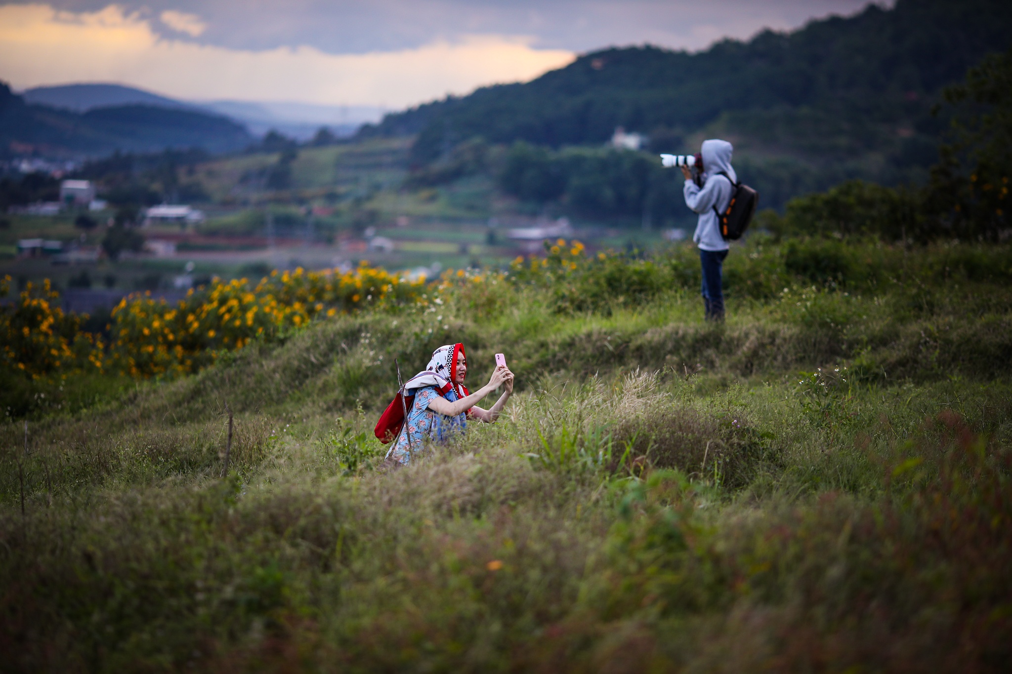 mua hoa da quy o Da Lat anh 19