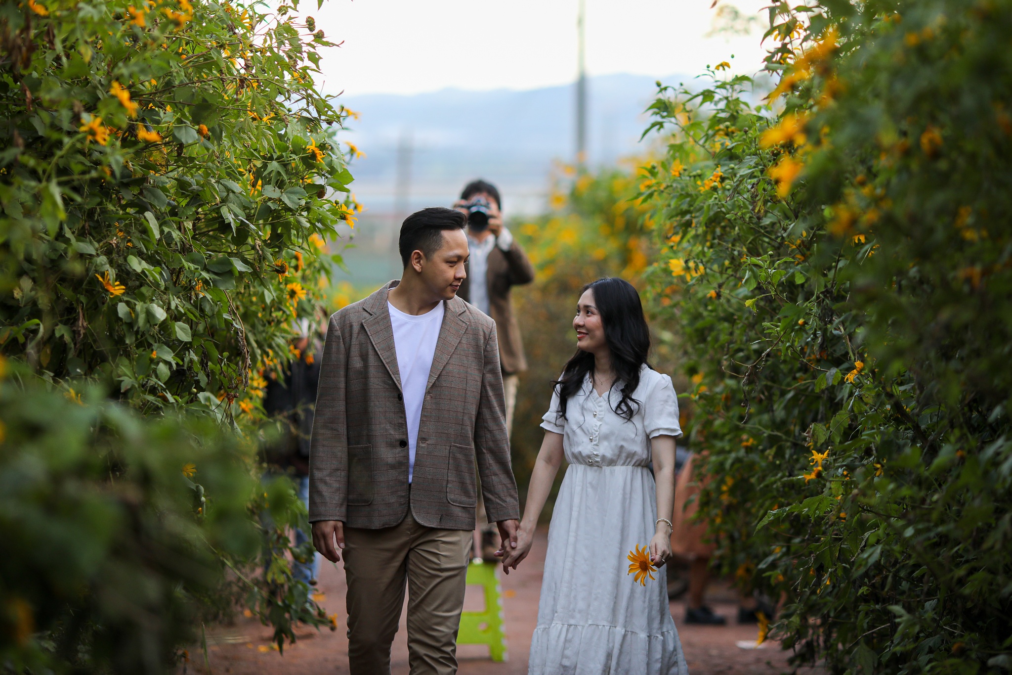 mua hoa da quy o Da Lat anh 4