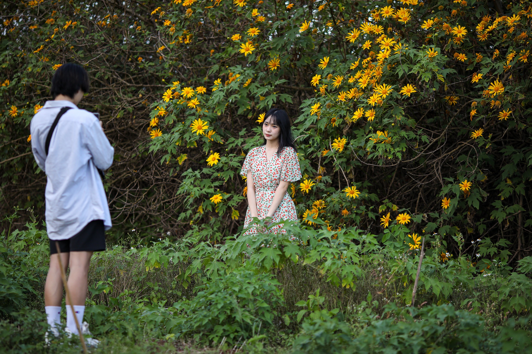 mua hoa da quy o Da Lat anh 3