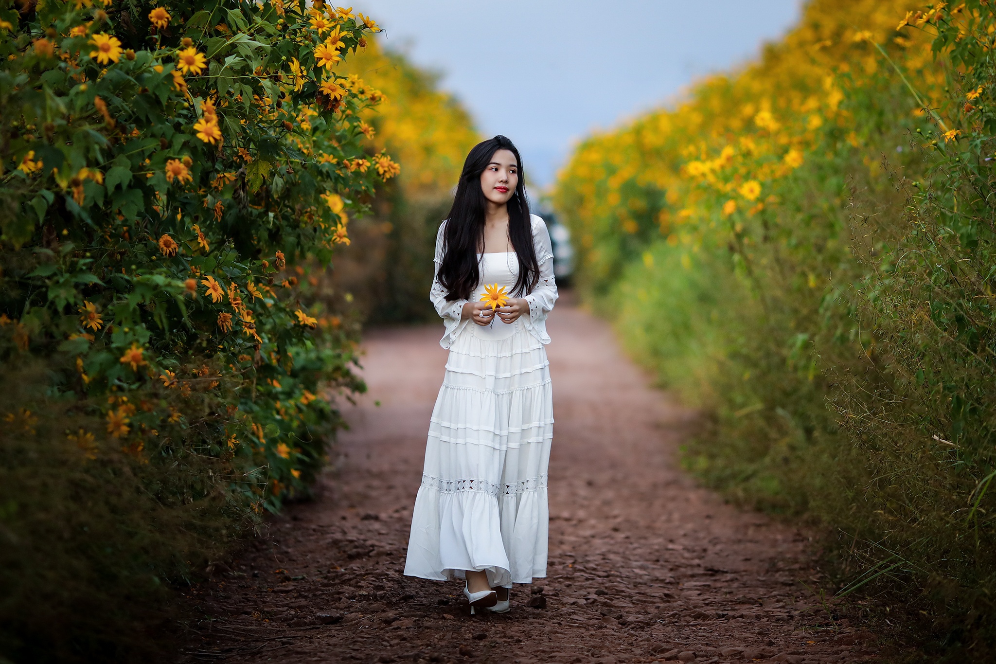 Mua hoa da quy o Da Lat hinh anh