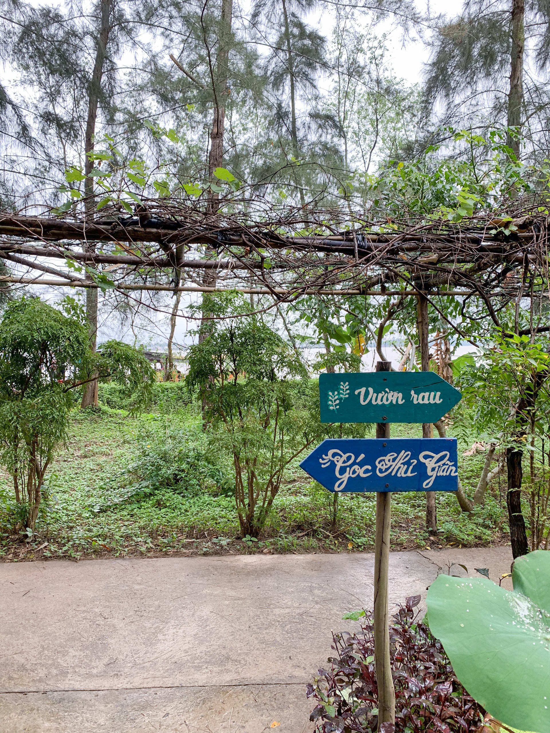 du lich sau dich Covid anh 11