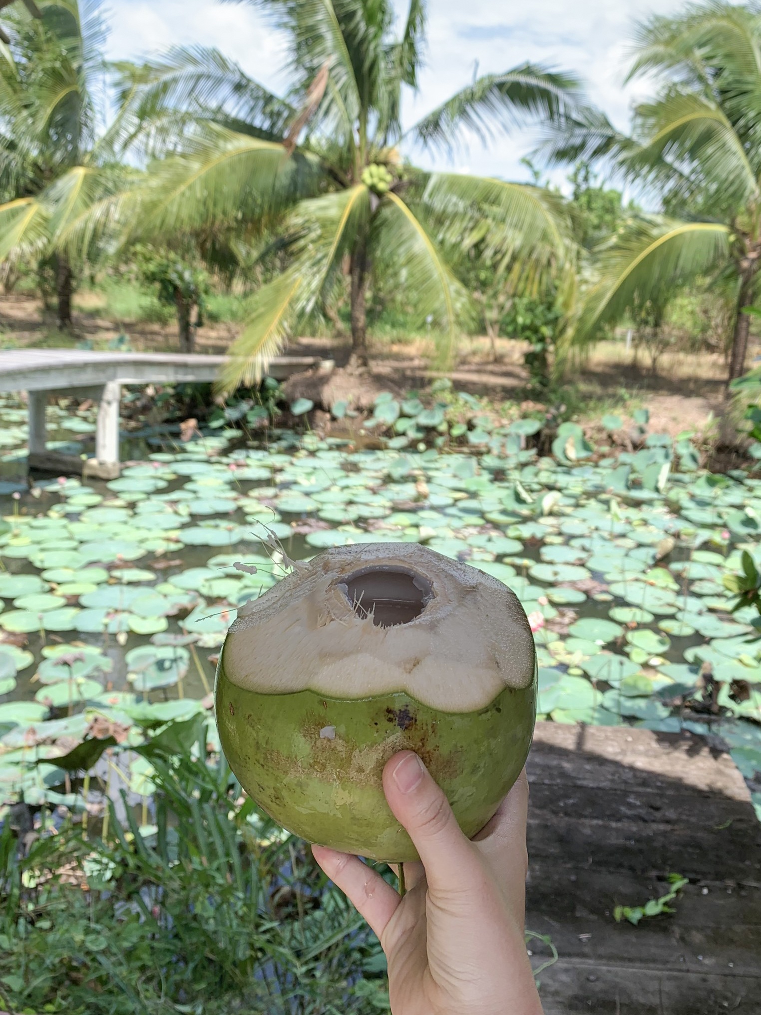 du lich sau dich Covid anh 5