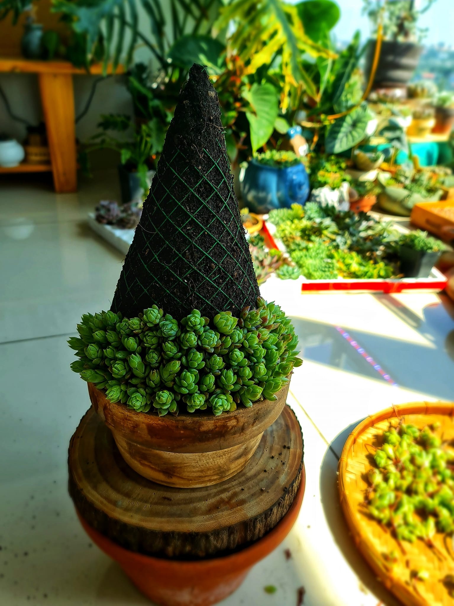 trang trí cây thông giáng sinh ảnh 5 trang tri cay thong giang sinh anh 5