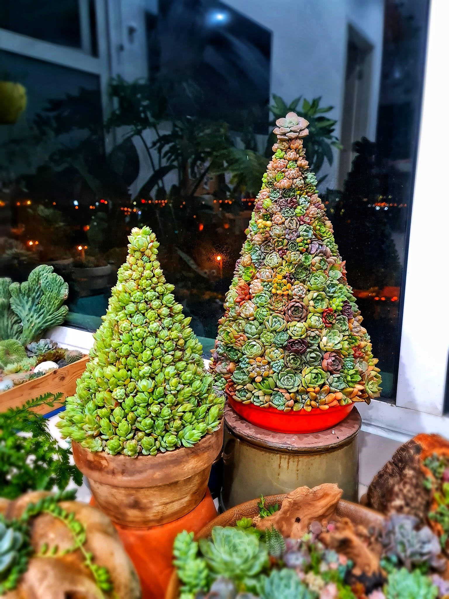 trang trí cây thông giáng sinh ảnh 4 trang tri cay thong giang sinh anh 4