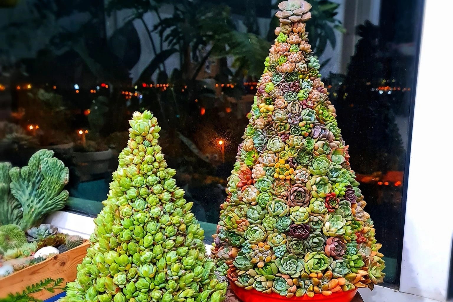 Bien tau cay thong Giang sinh tu vat lieu quen thuoc hinh anh