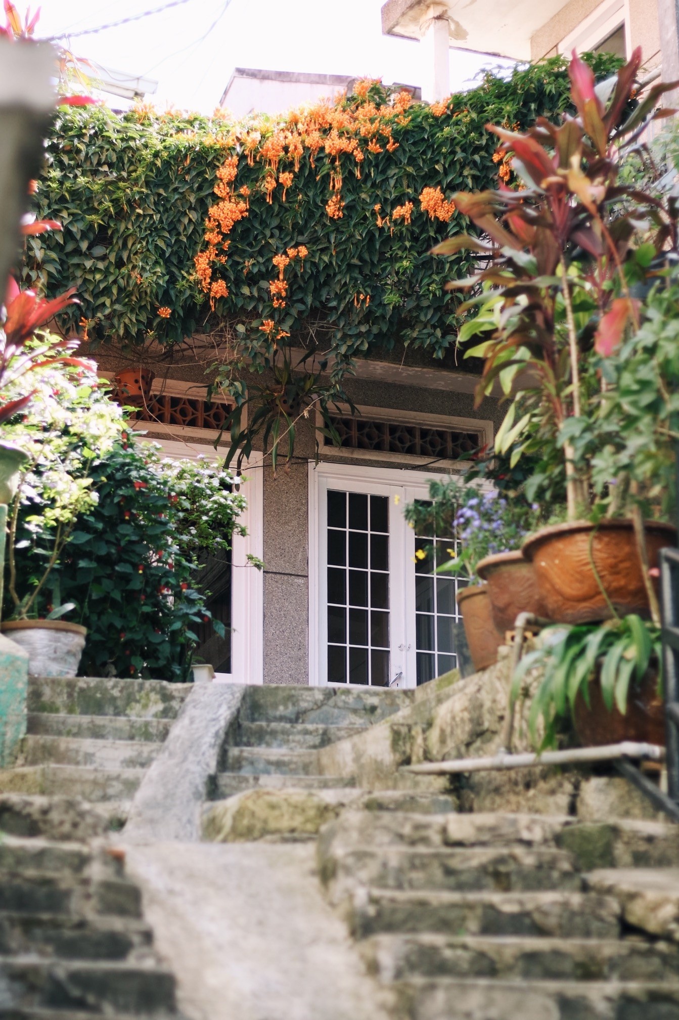 du lịch Việt Nam đầu năm ảnh 8 du lich Viet Nam dau nam anh 8