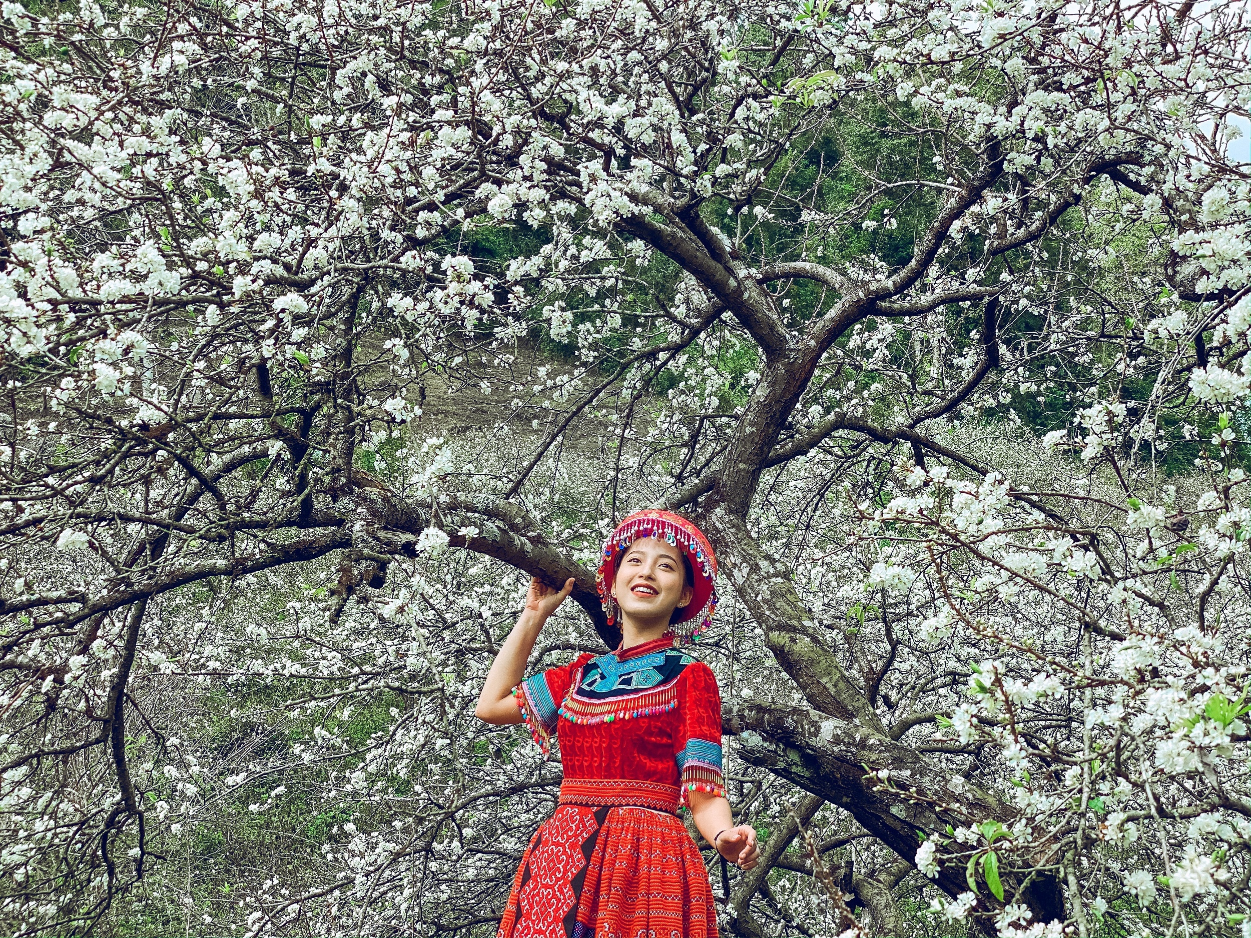 du lich Viet Nam dau nam anh 11