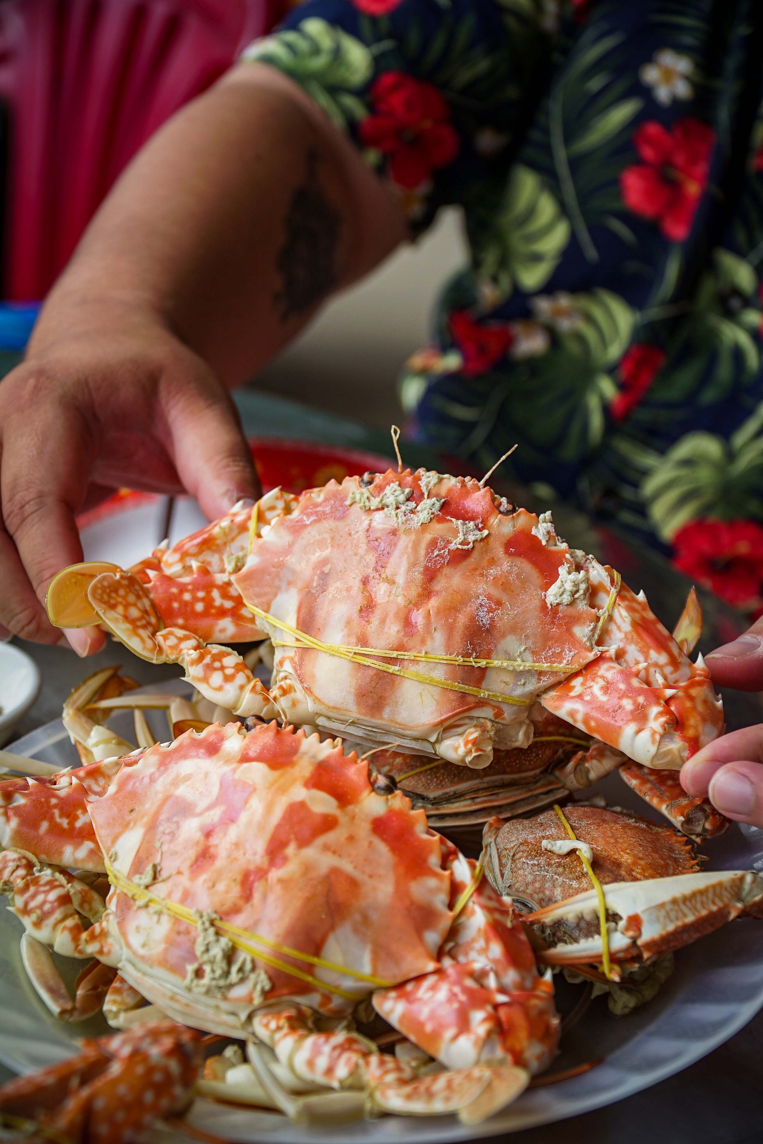 du lịch Việt Nam đầu năm ảnh 3 du lich Viet Nam dau nam anh 3