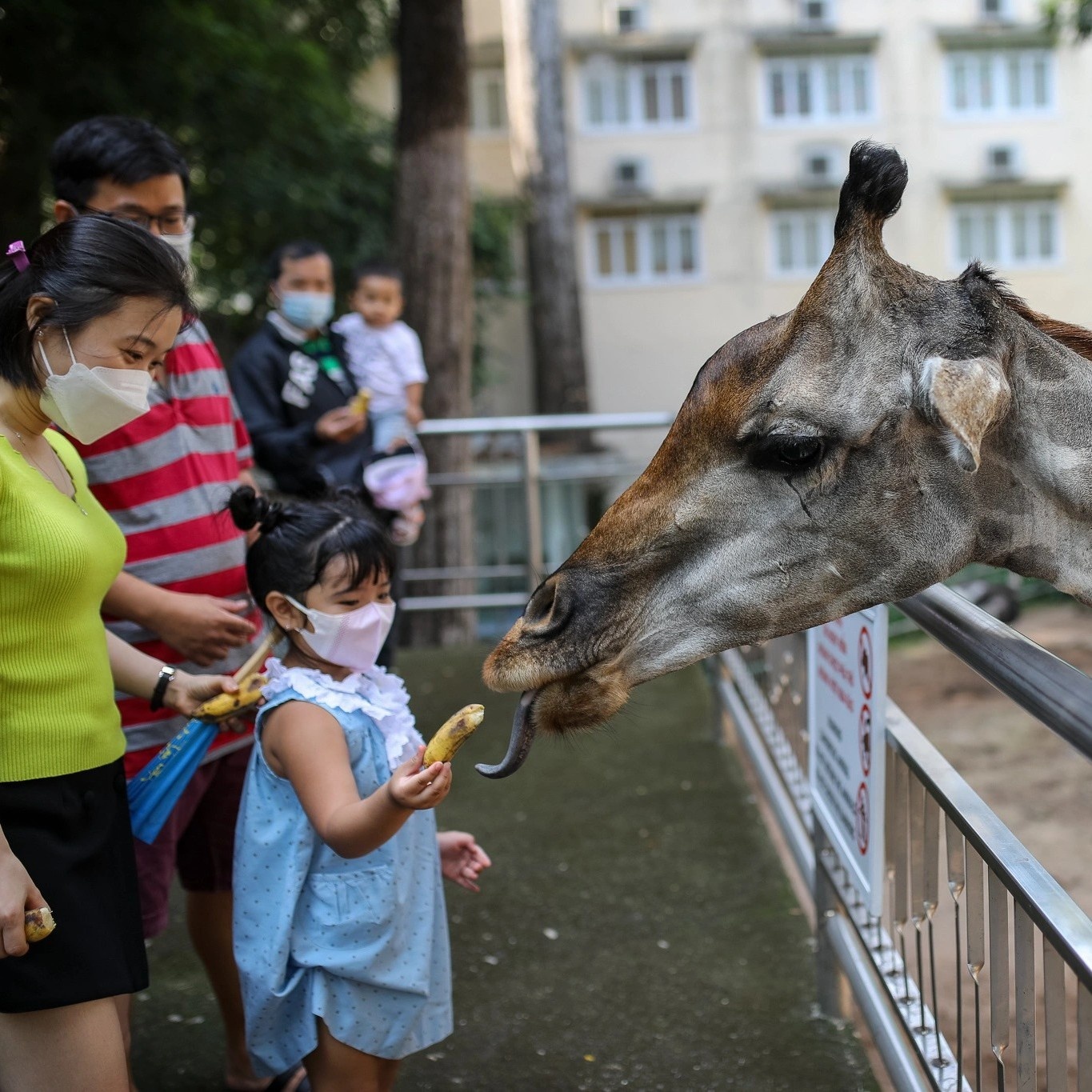 Tet duong lich o TP.HCM anh 2