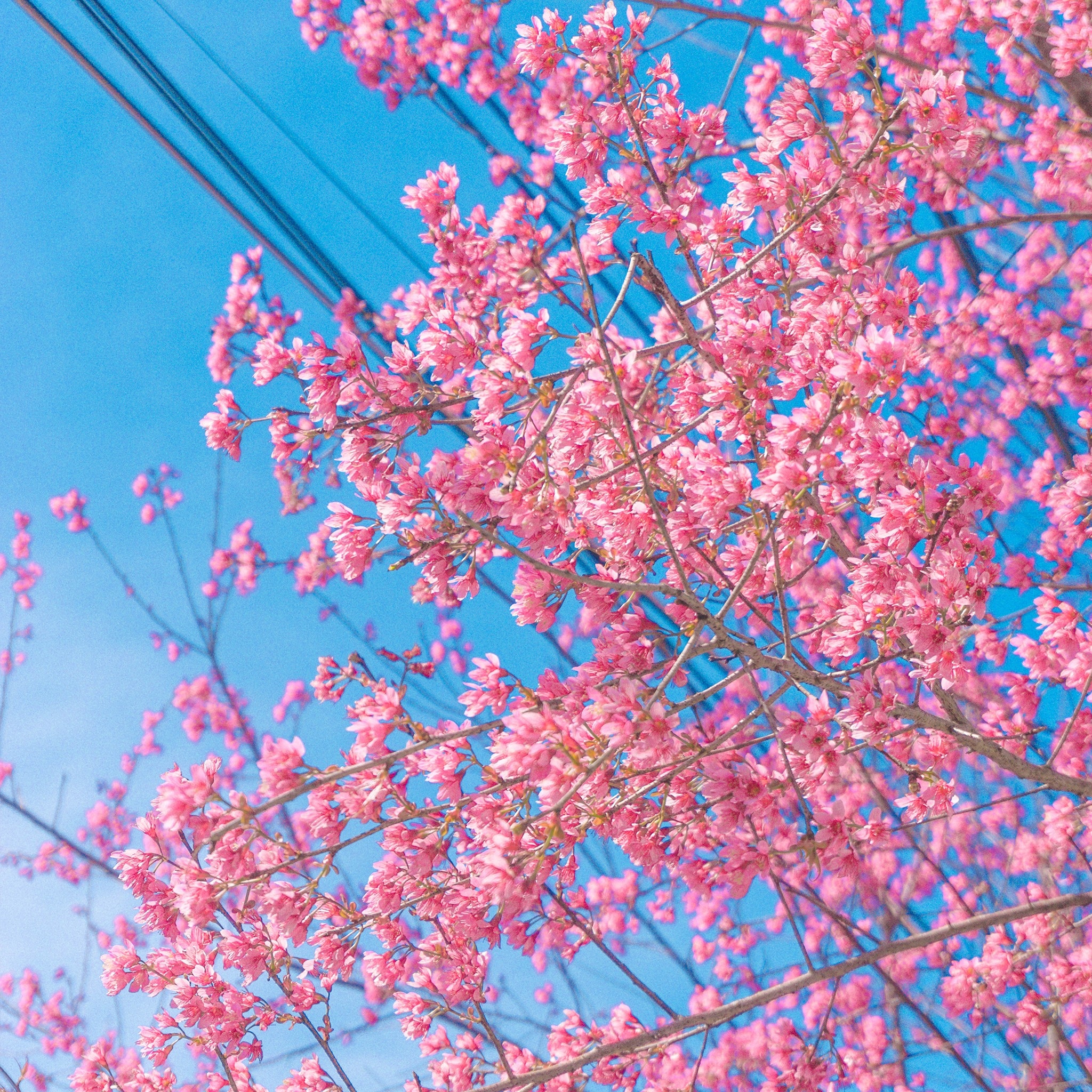 địa điểm du lịch ảnh 5 dia diem du lich anh 5