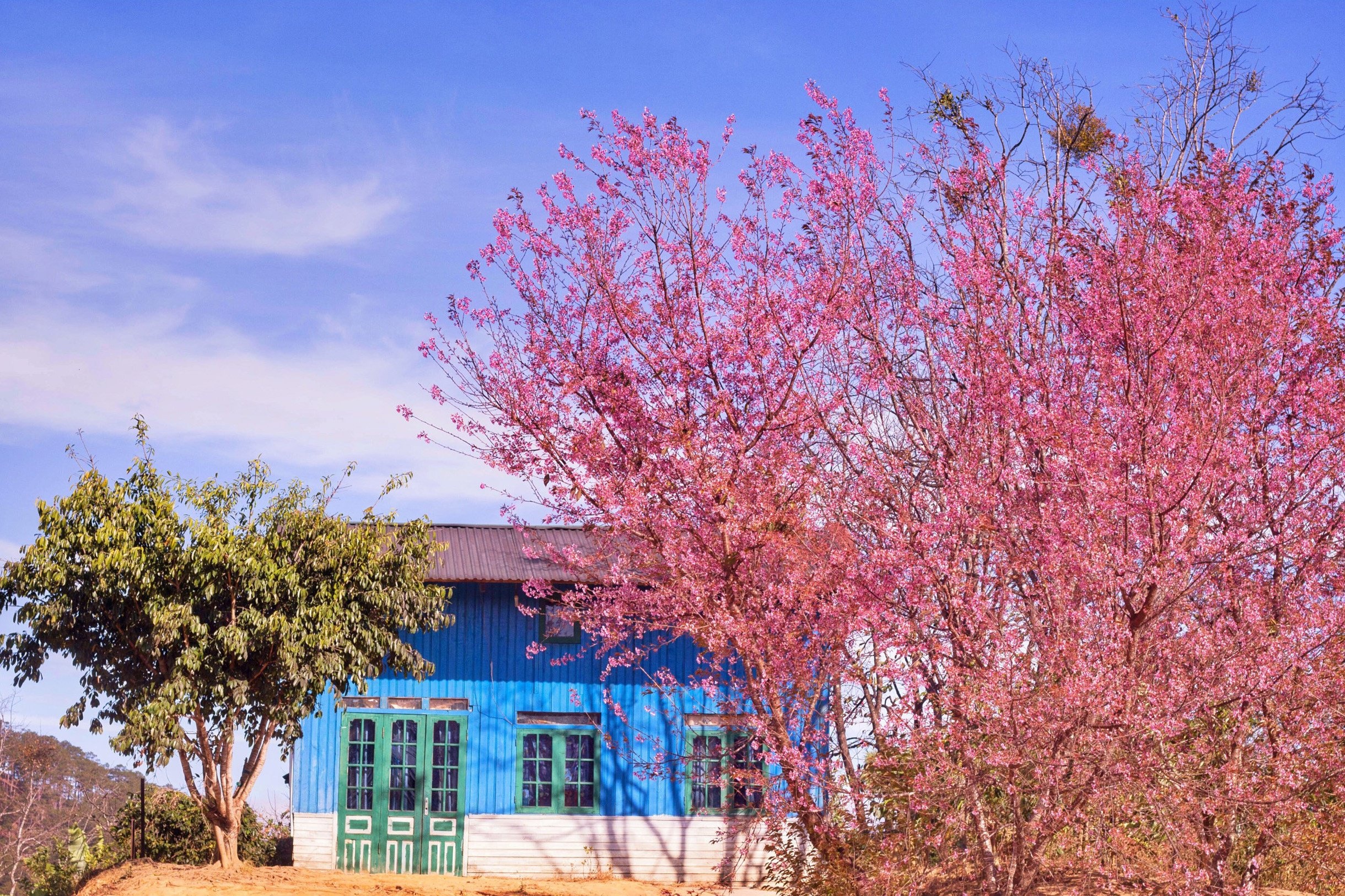 trai nghiem du lich Tet nguyen dan anh 4